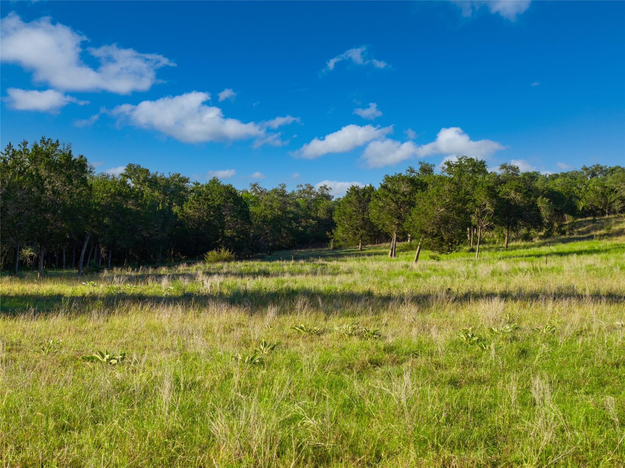 TBD Mount Sharp Road RD — photo 4