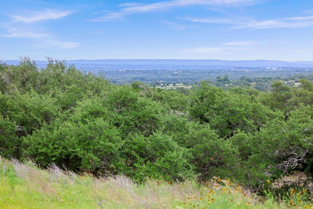 292 Scenic Hills CT — photo 3