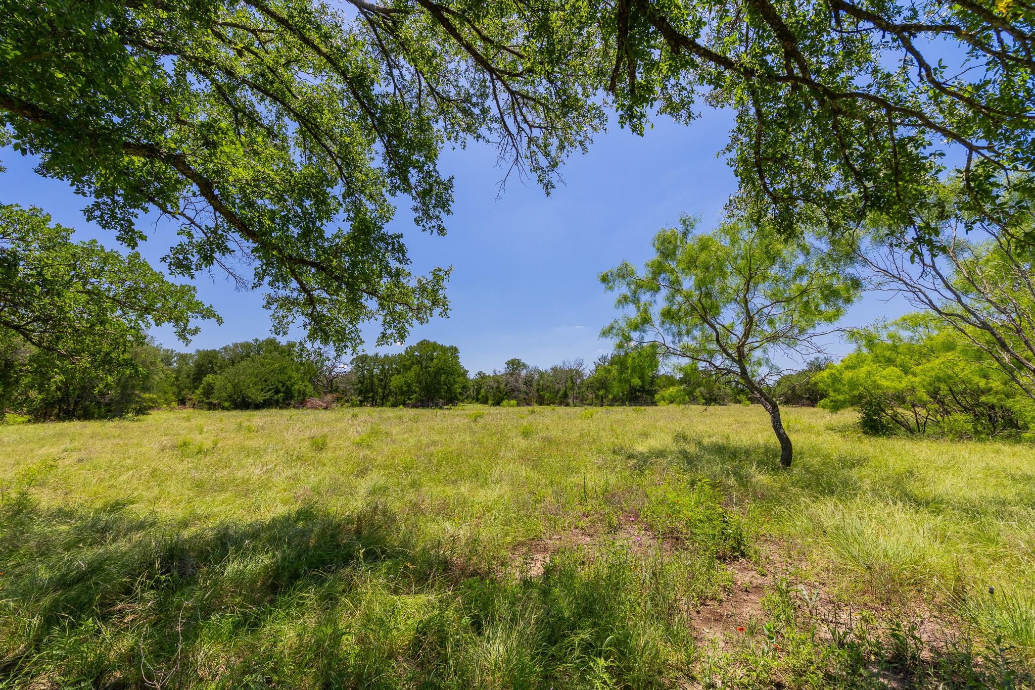 TBD County Road 180 72 ac RD — photo 3