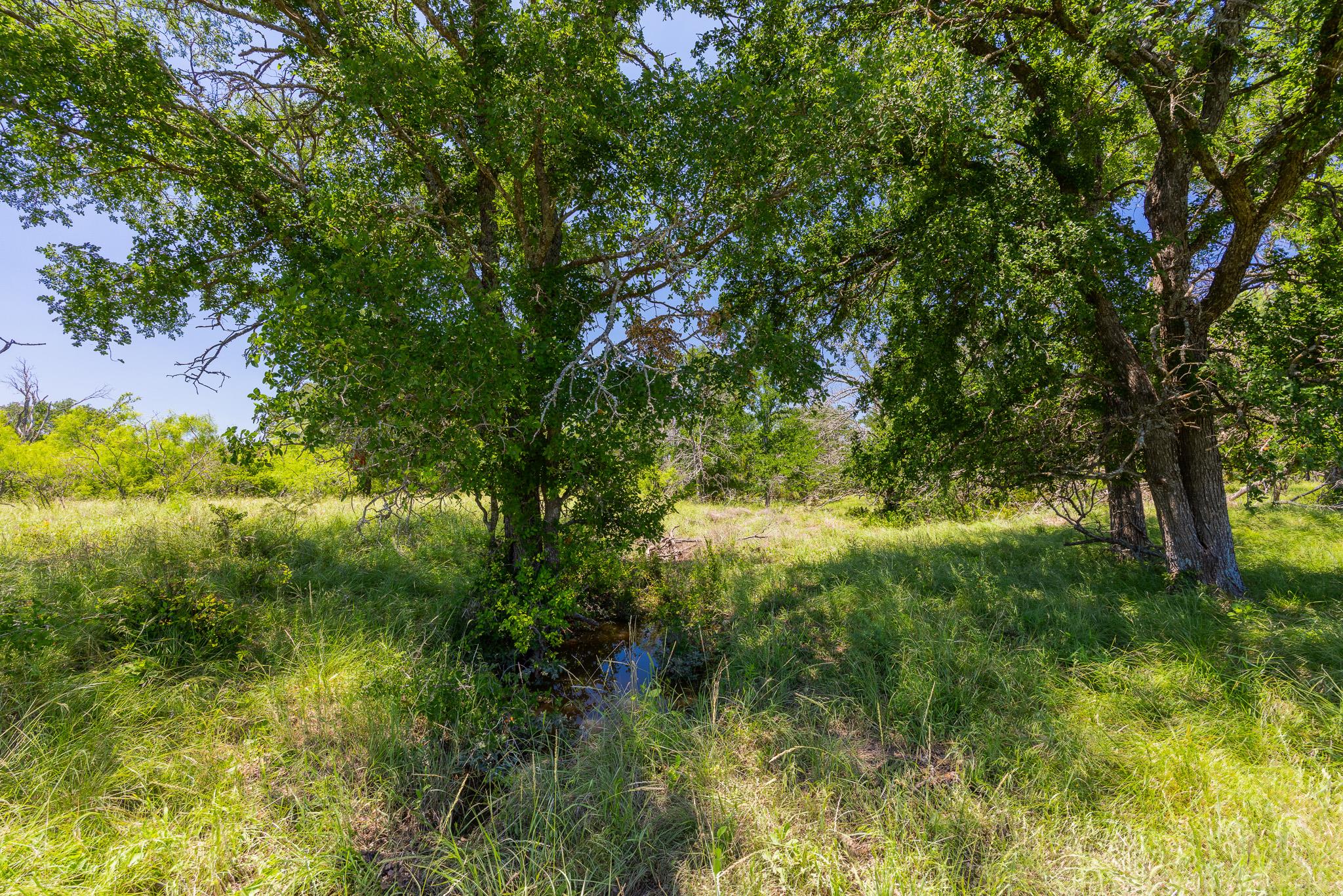 TBD County Road 180 72 ac RD — photo 5