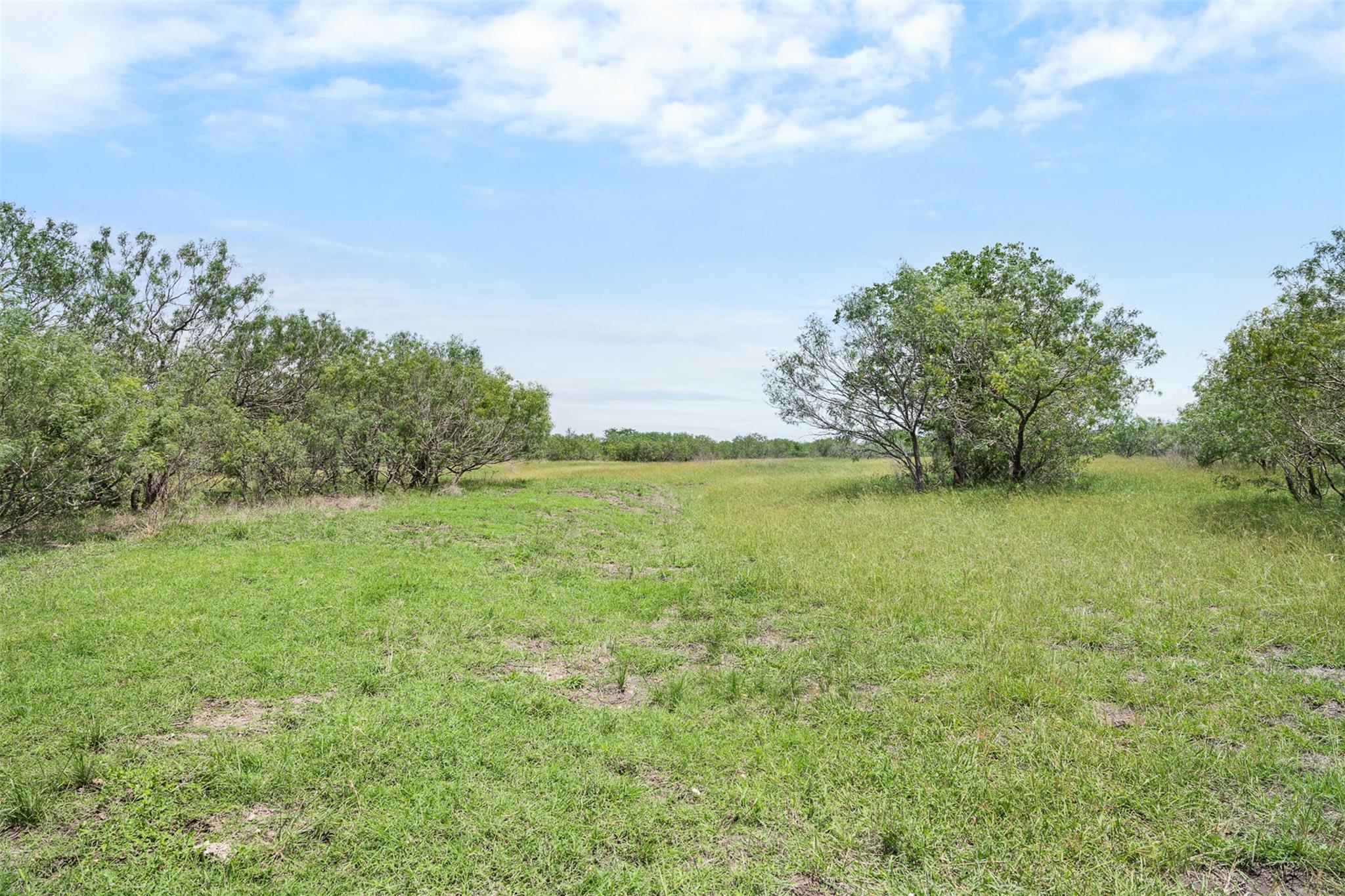 1190 Dickerson RD — photo 3