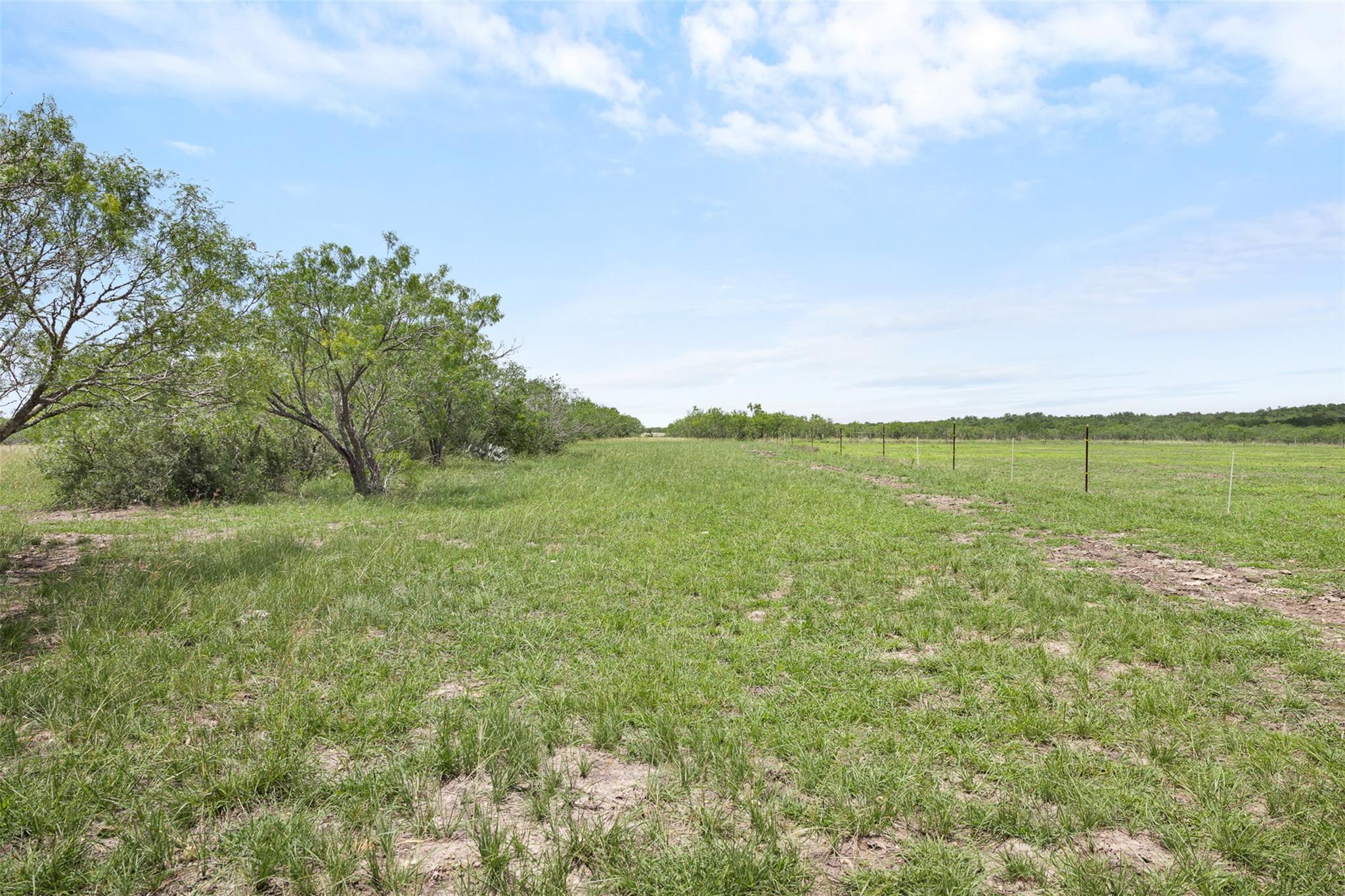 1190 Dickerson RD — photo 4