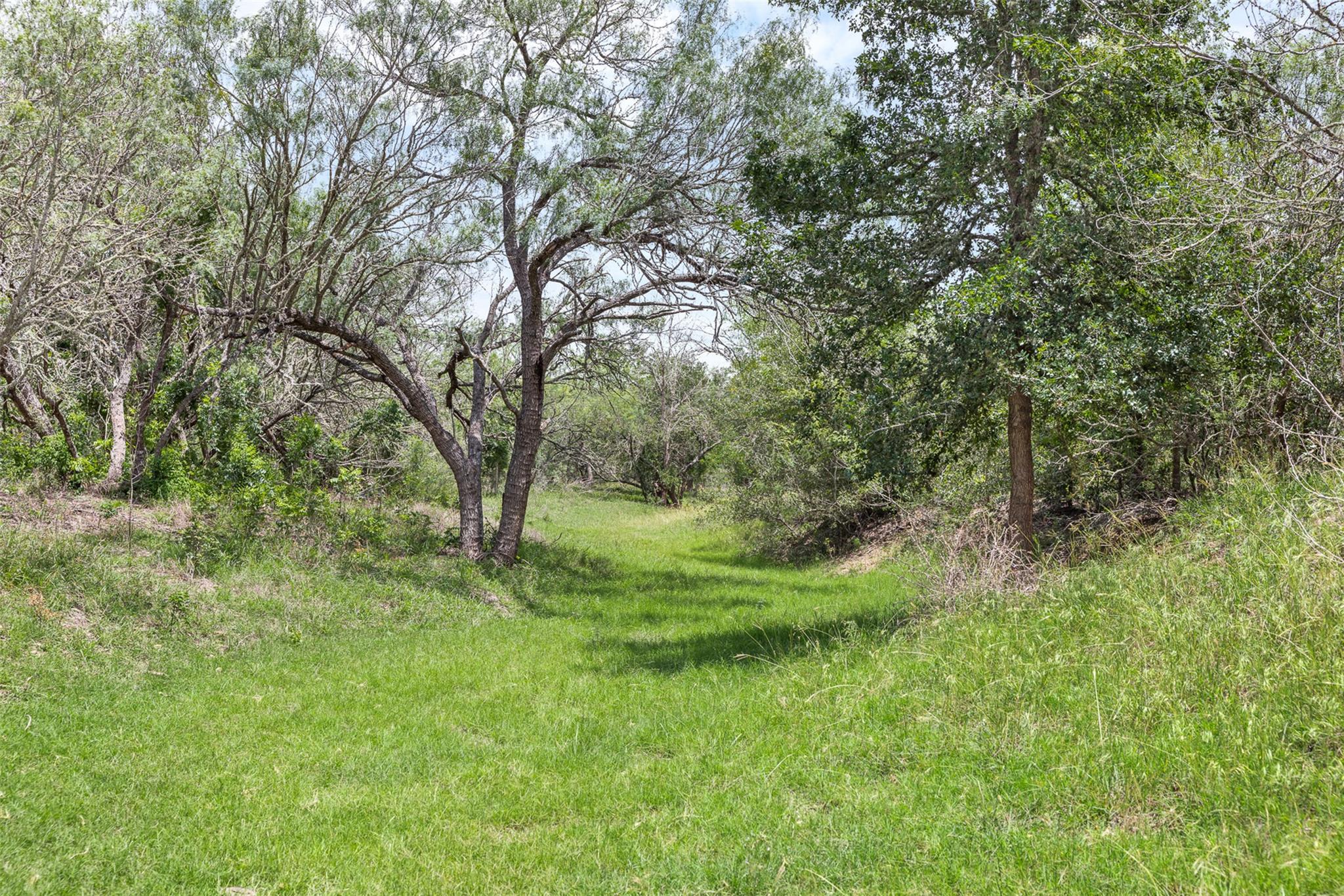 1190 Dickerson RD — photo 5