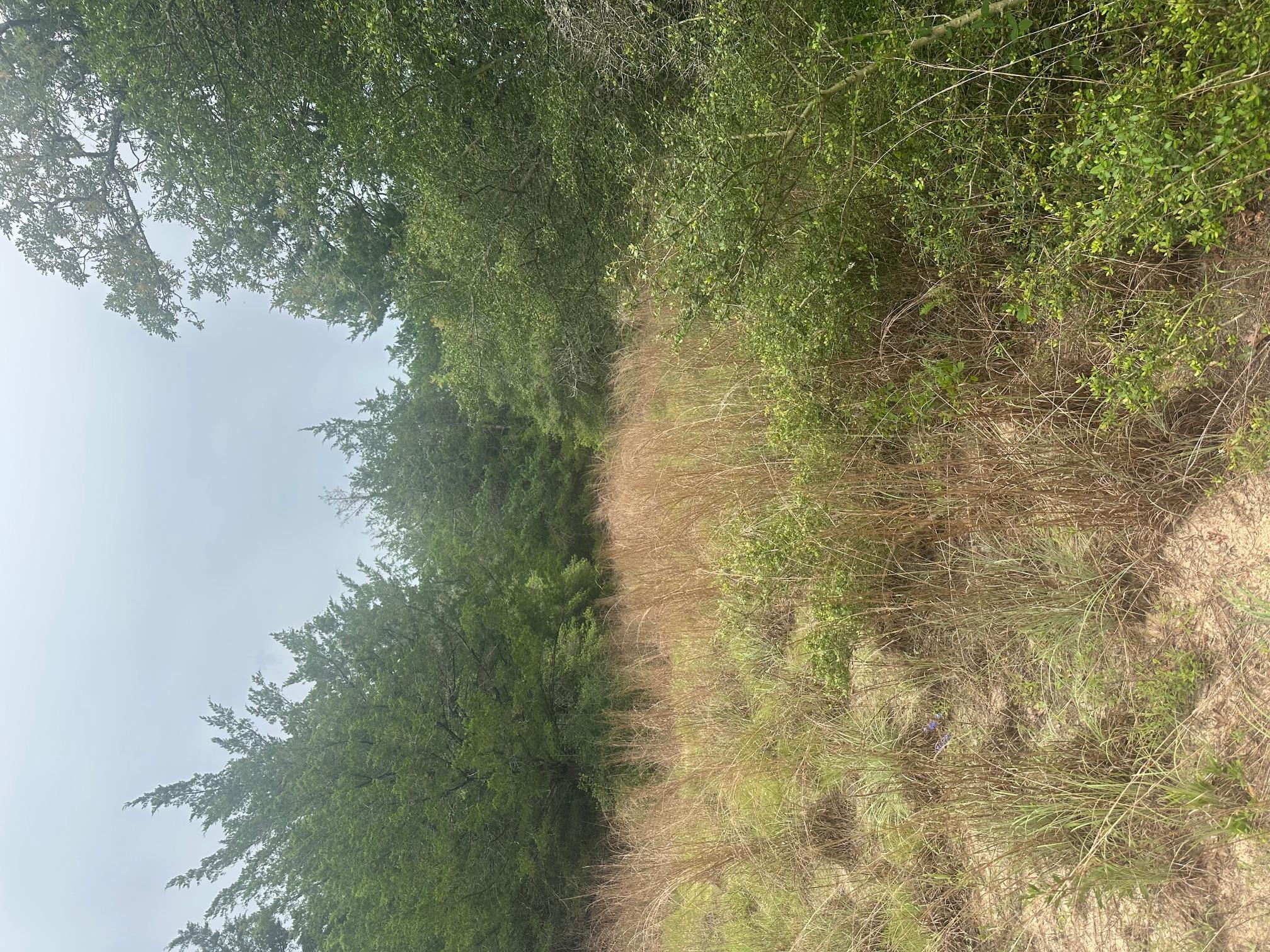 Lot 58-61 Pecan DR — photo 3