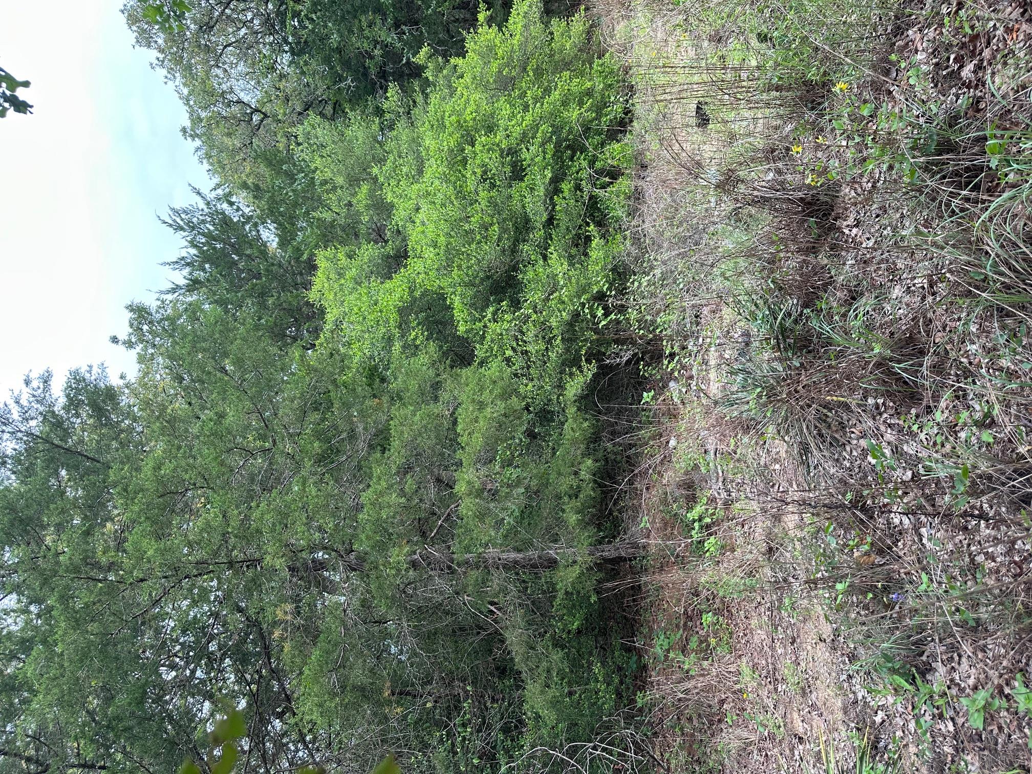 Lot 58-61 Pecan DR — photo 4