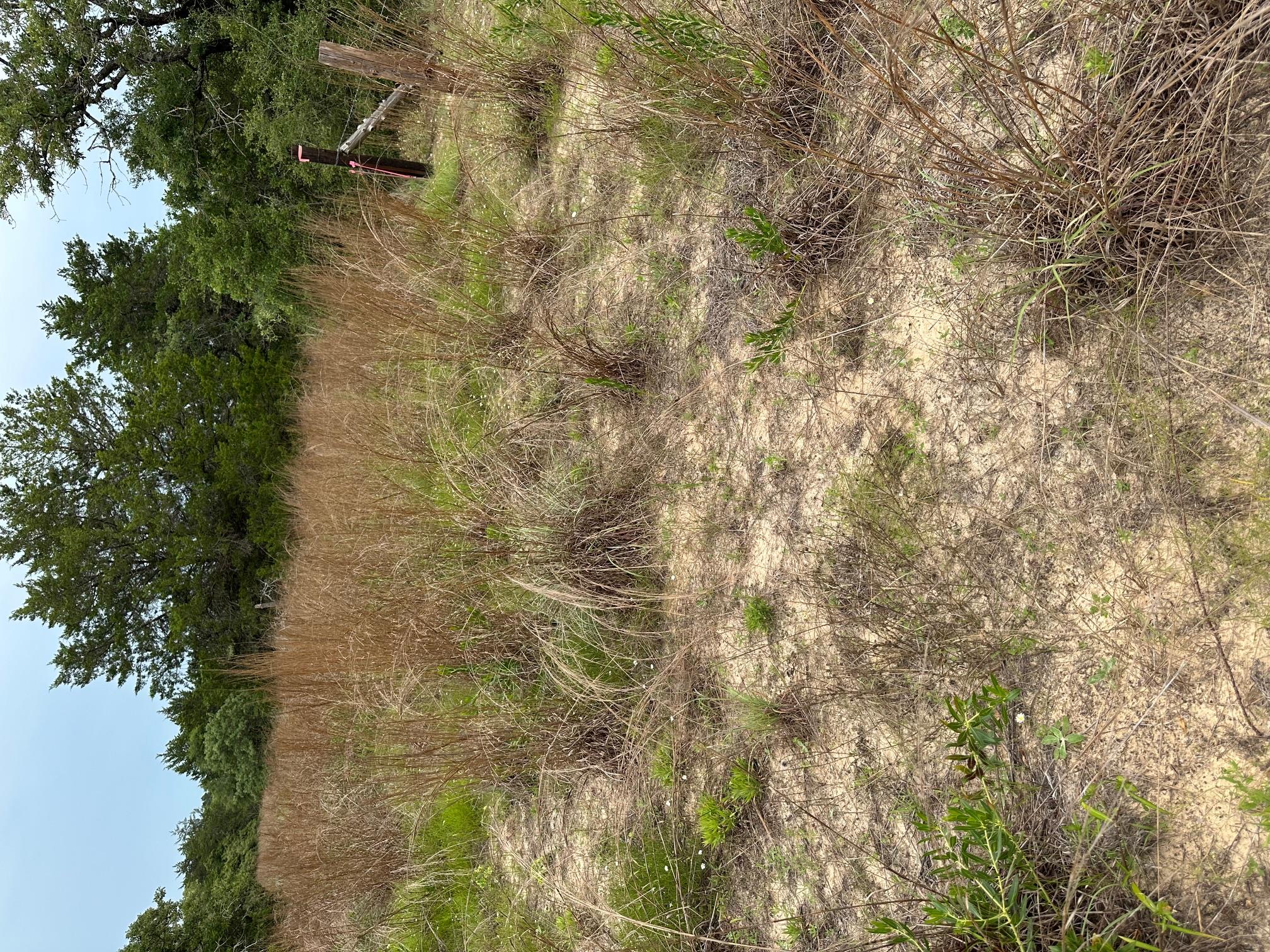 Lot 58-61 Pecan DR — photo 5