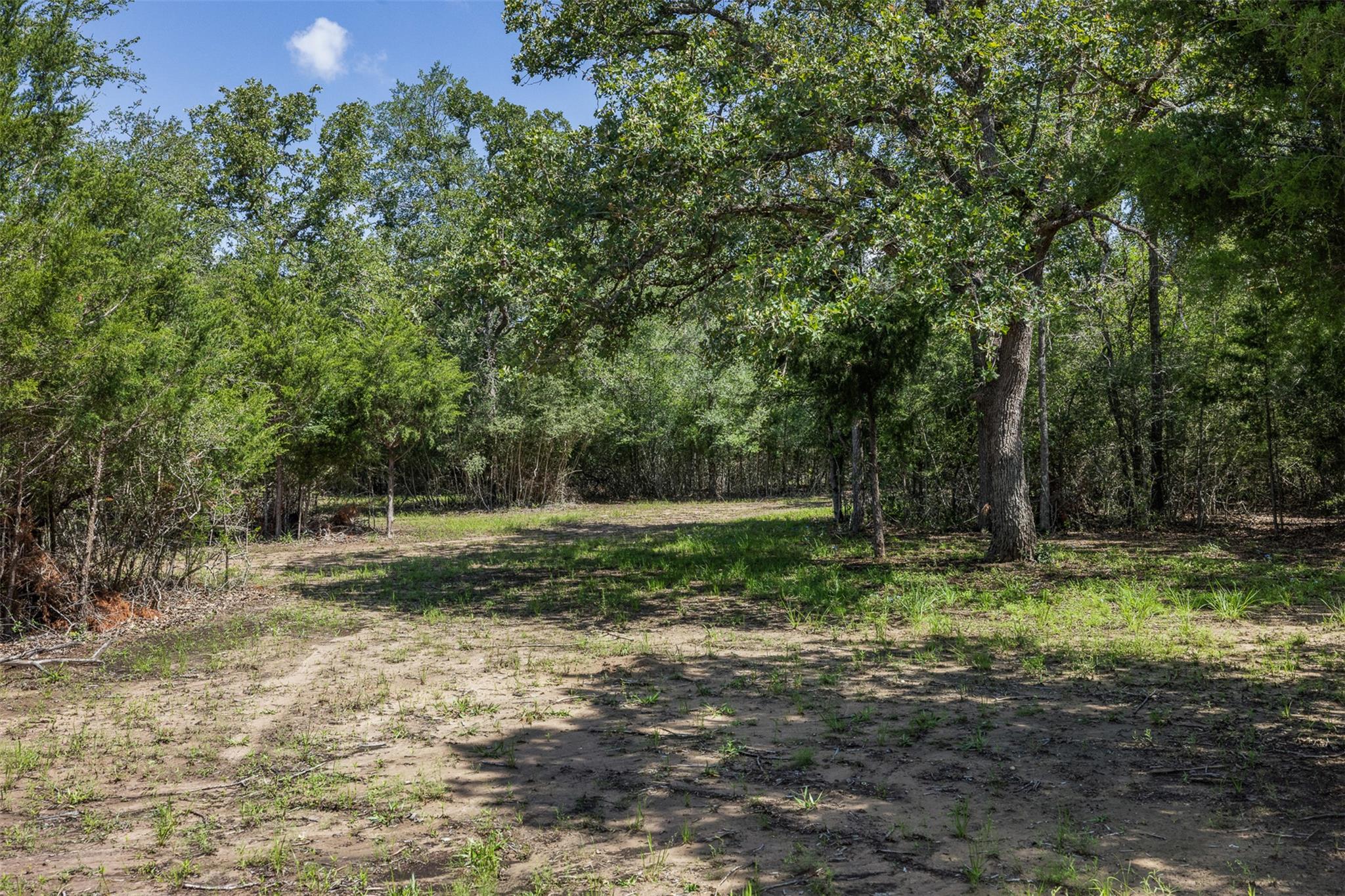 7132 Serenity Ranch RD — photo 5