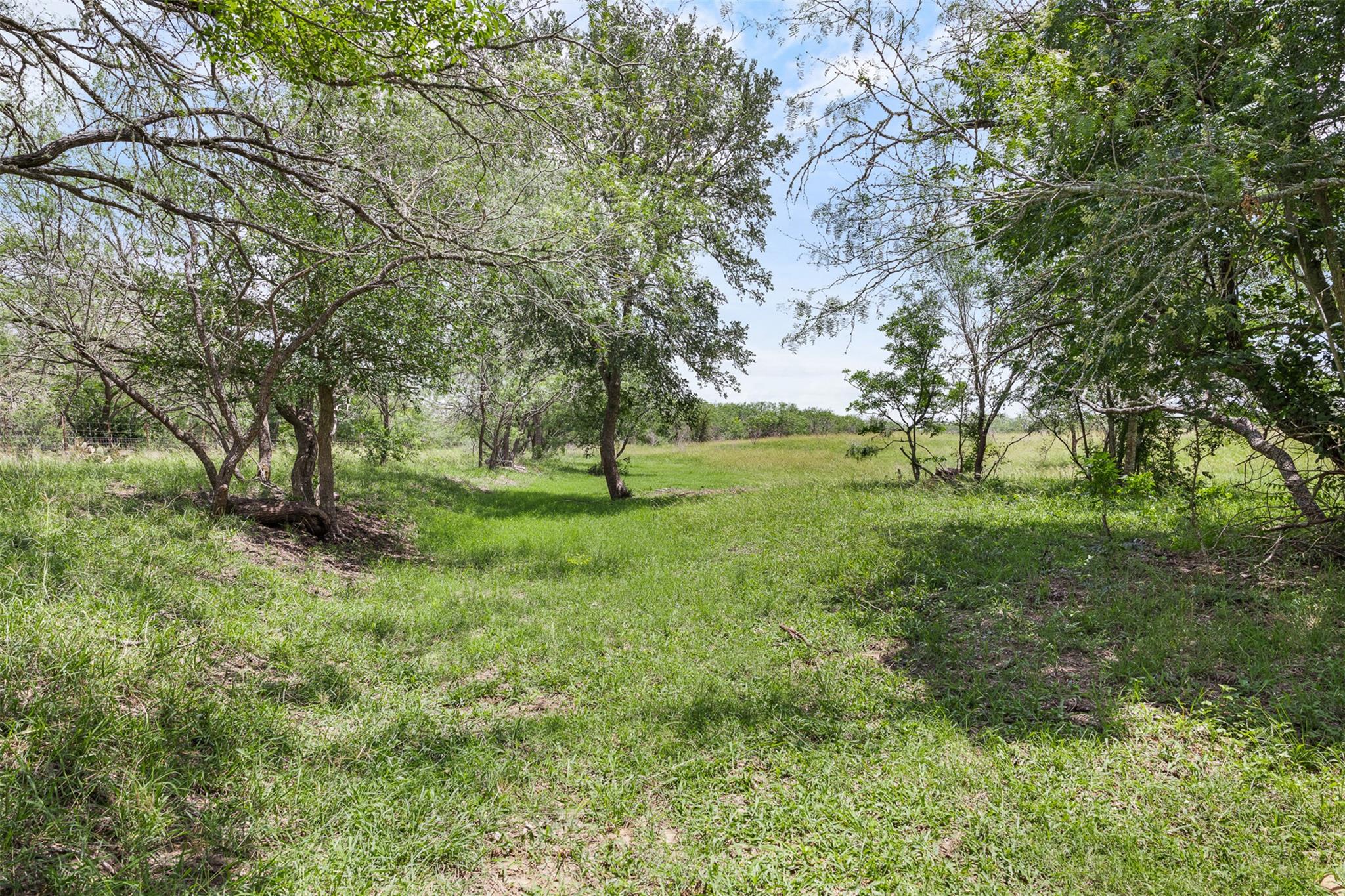 1190 Dickerson RD — photo 5
