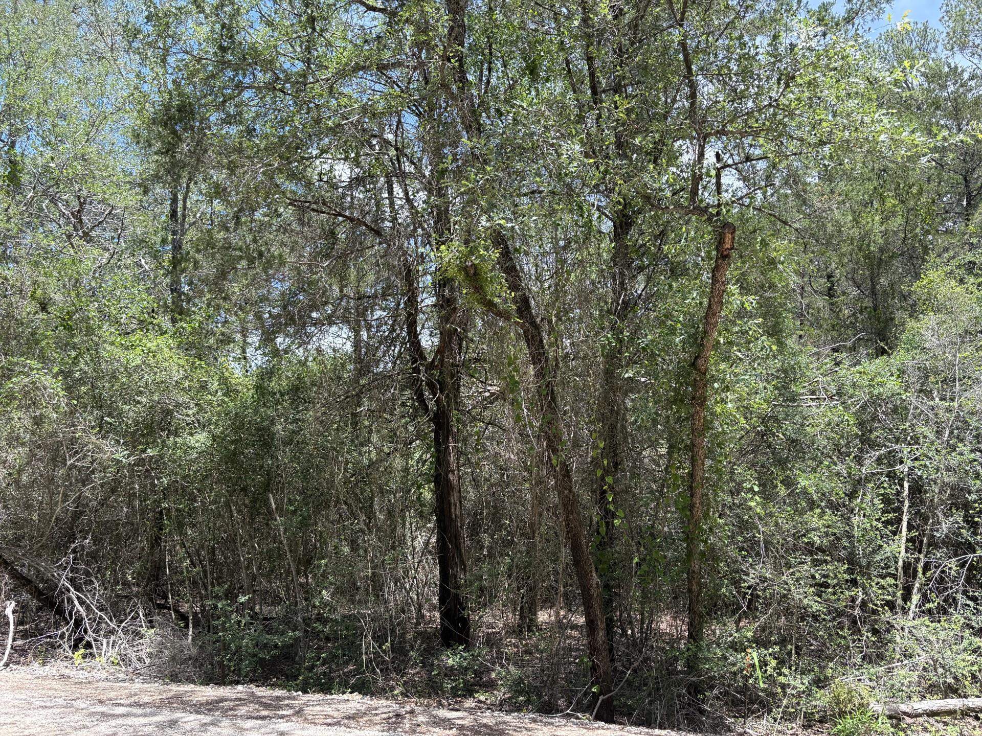 Lot 1228 & 1229 Hanauma DR — photo 3