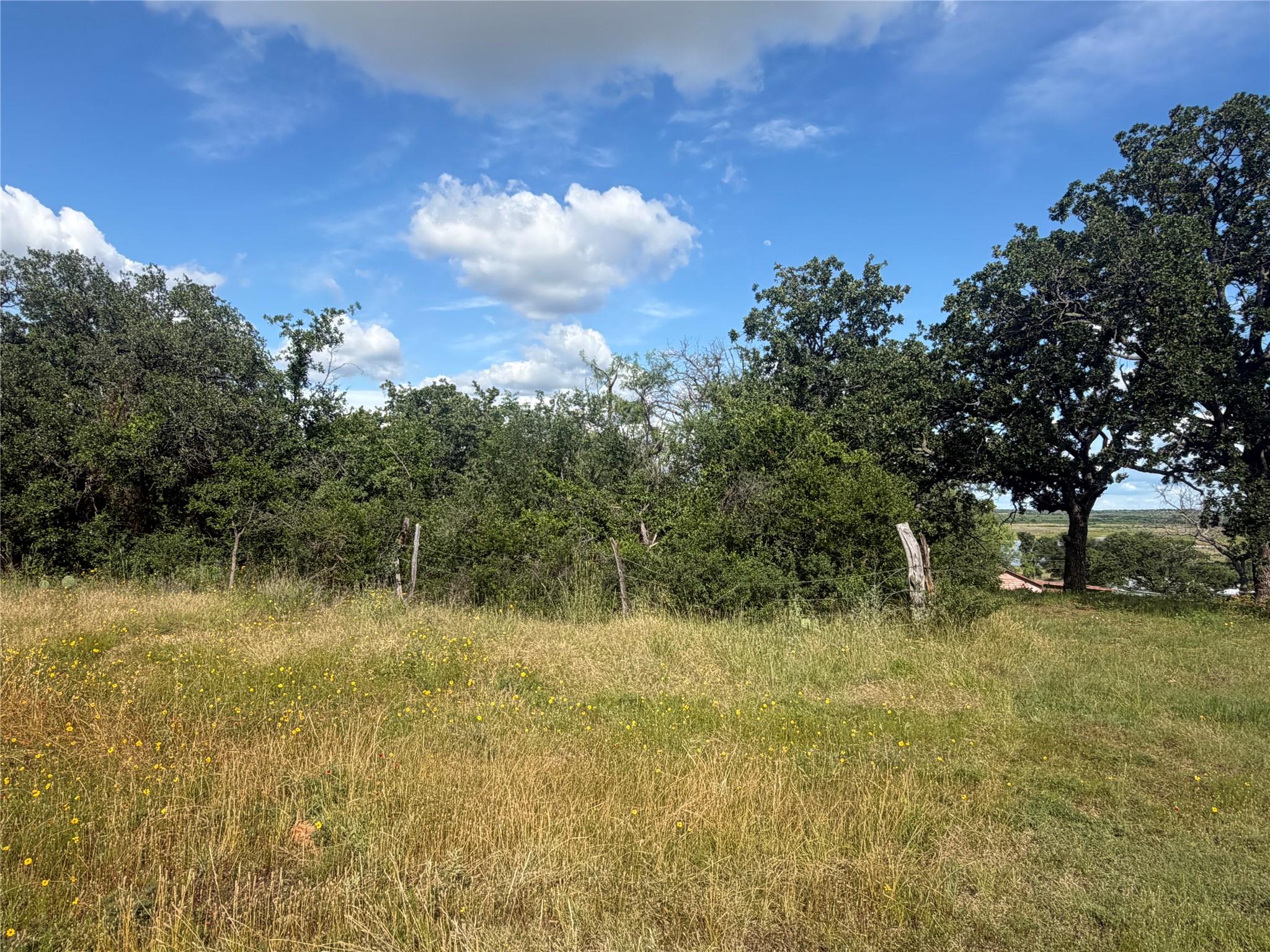 TBD FM 2231 RD — photo 3