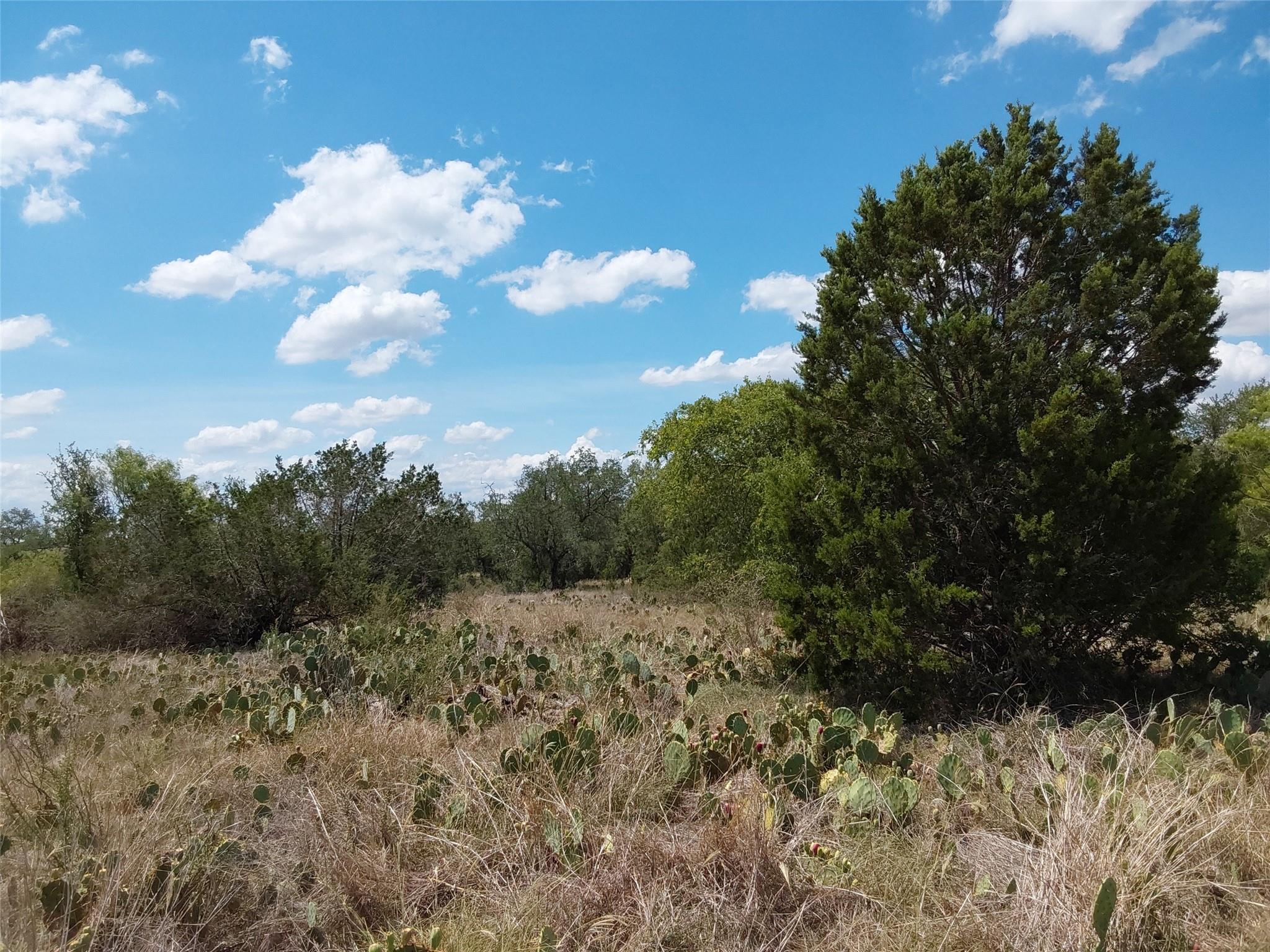 LOT 201 Sundance View PT — photo 4