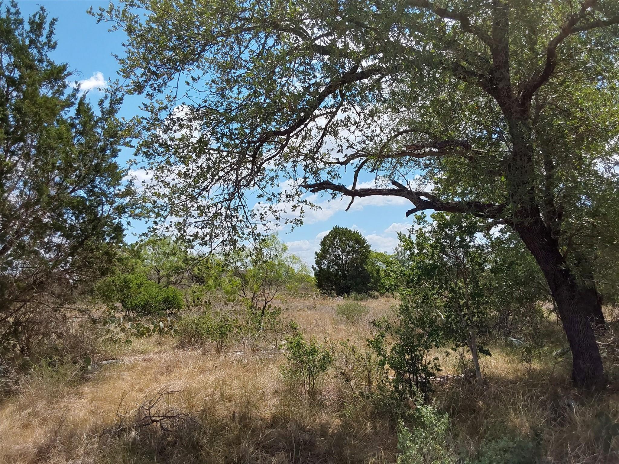 LOT 201 Sundance View PT — photo 5