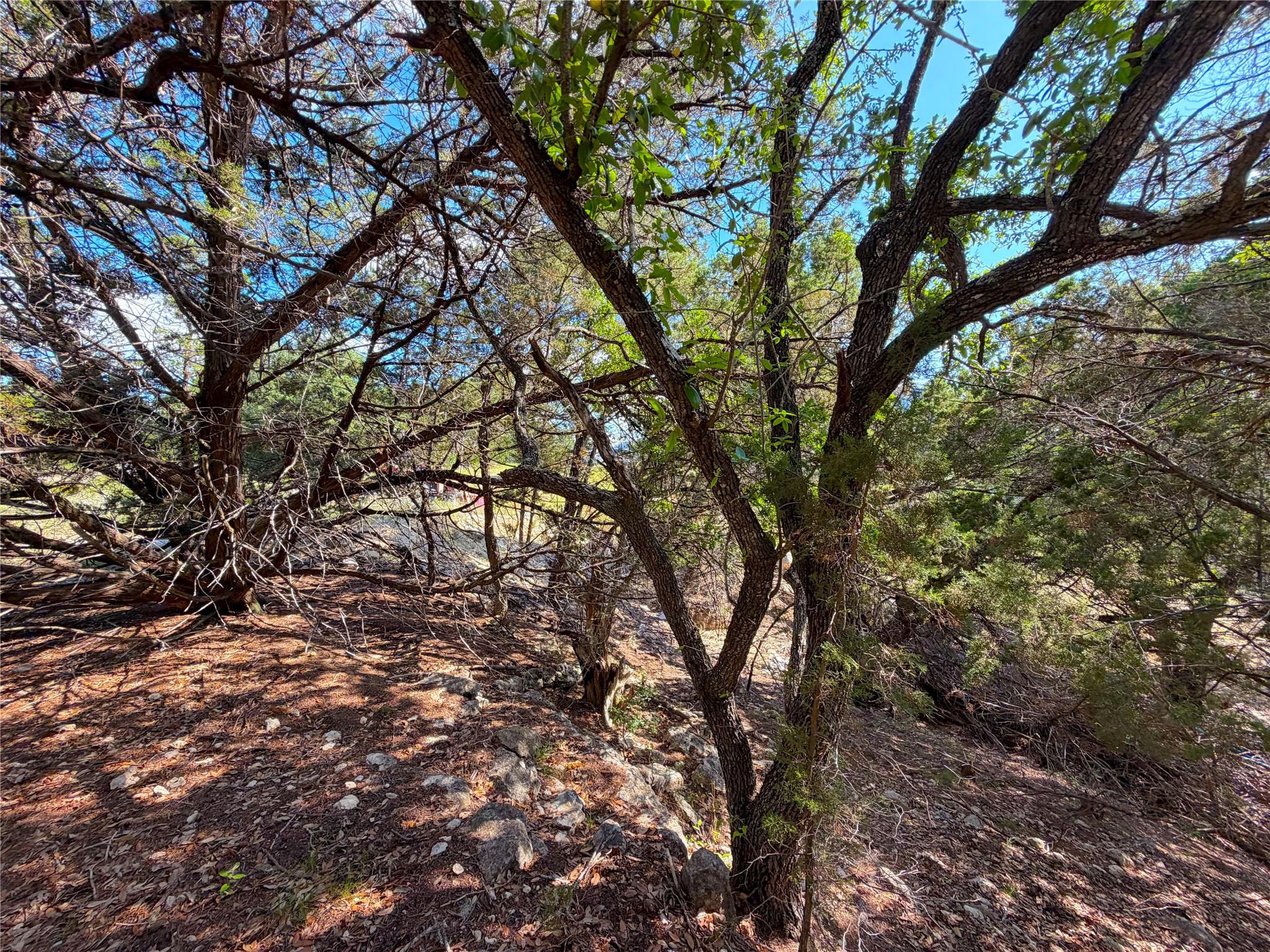 2021 Ronda CT — photo 3