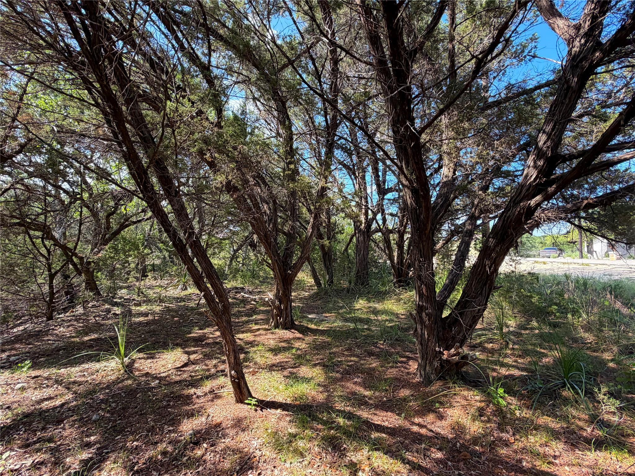 2021 Ronda CT — photo 4