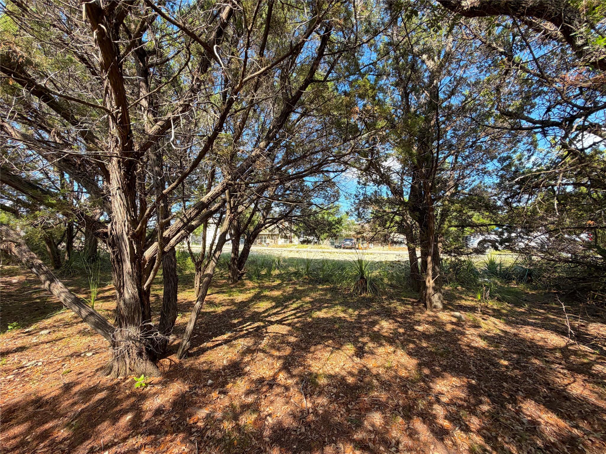2021 Ronda CT — photo 5
