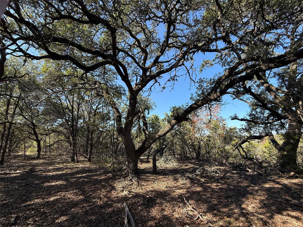 221 Ranch House RD — photo 4