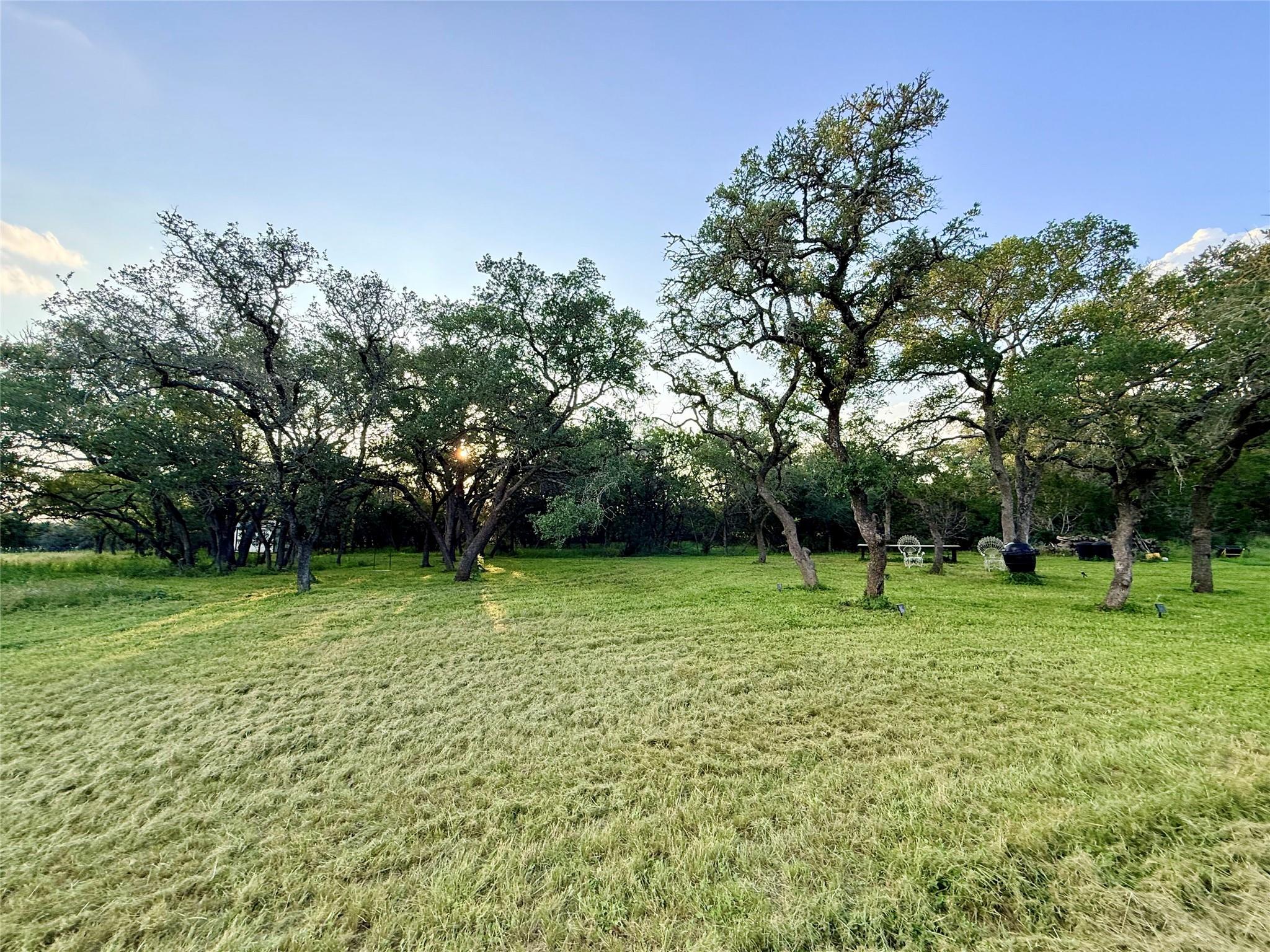 1435 Hilliard RD — photo 4
