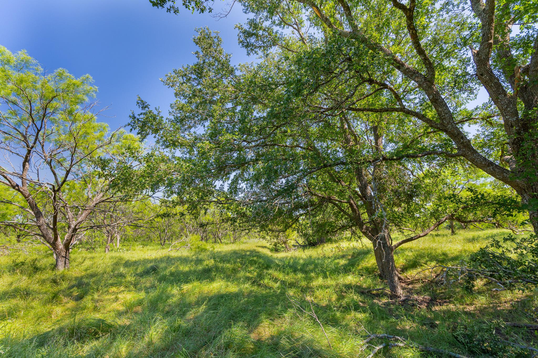 TBD County Road 180 Covered Meadows Ranch RD — photo 3