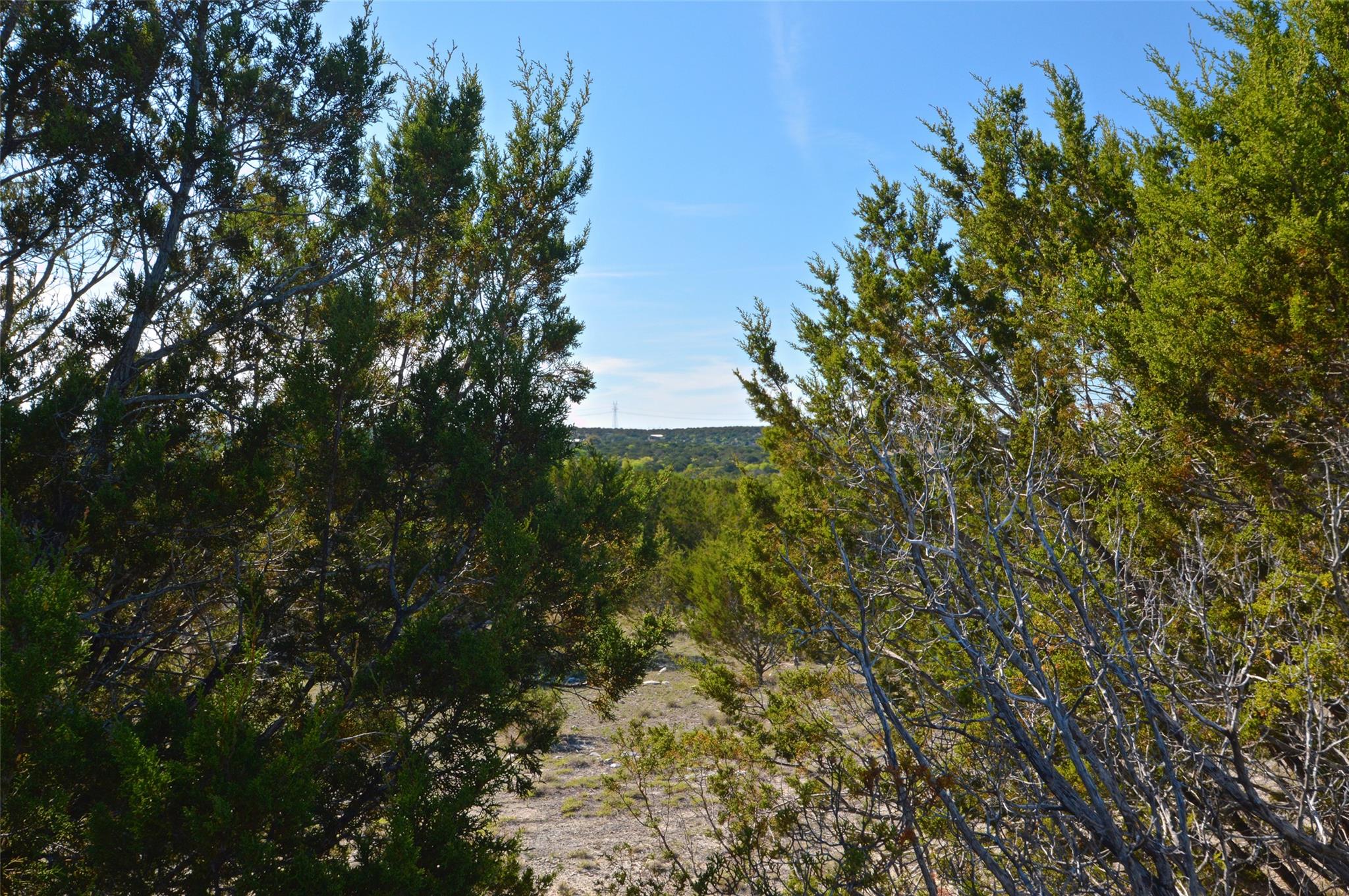 0 FM 581 Highway — photo 5