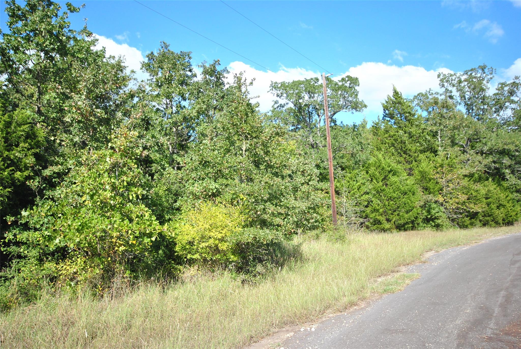 LOT 24 LCR 910 — photo 3