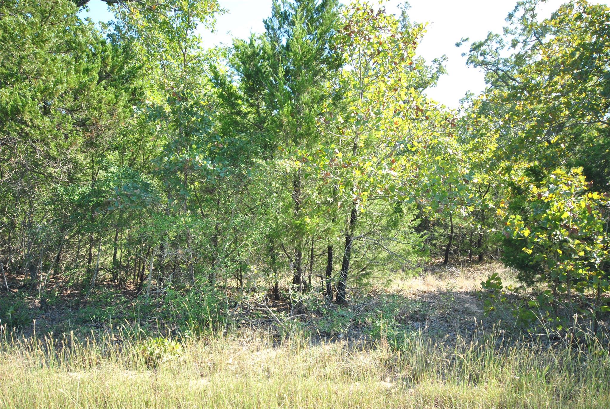 LOT 24 LCR 910 — photo 5