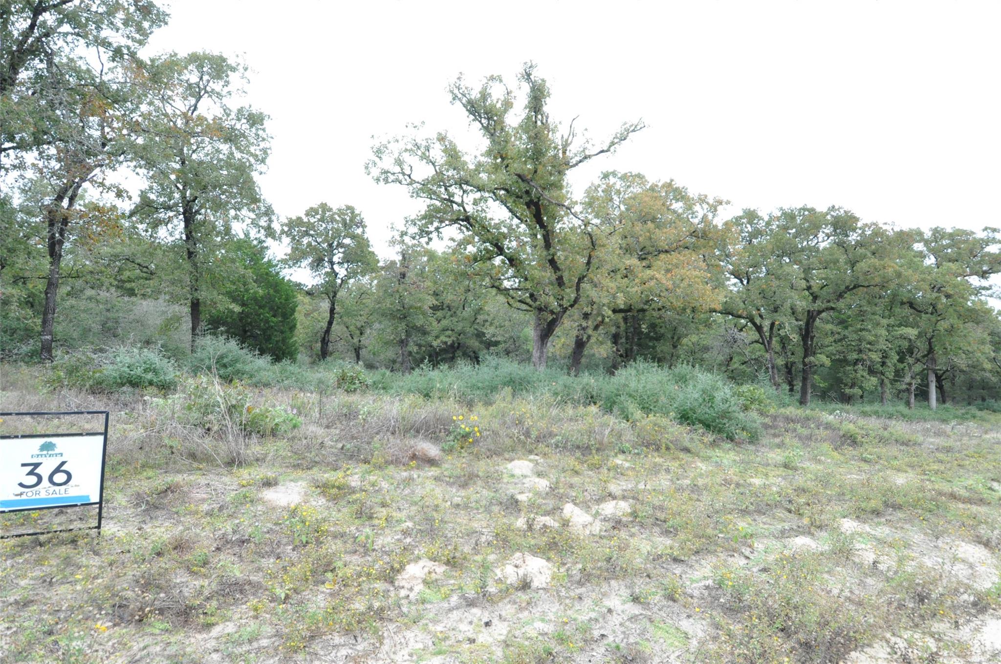 TBD OakView LN — photo 4