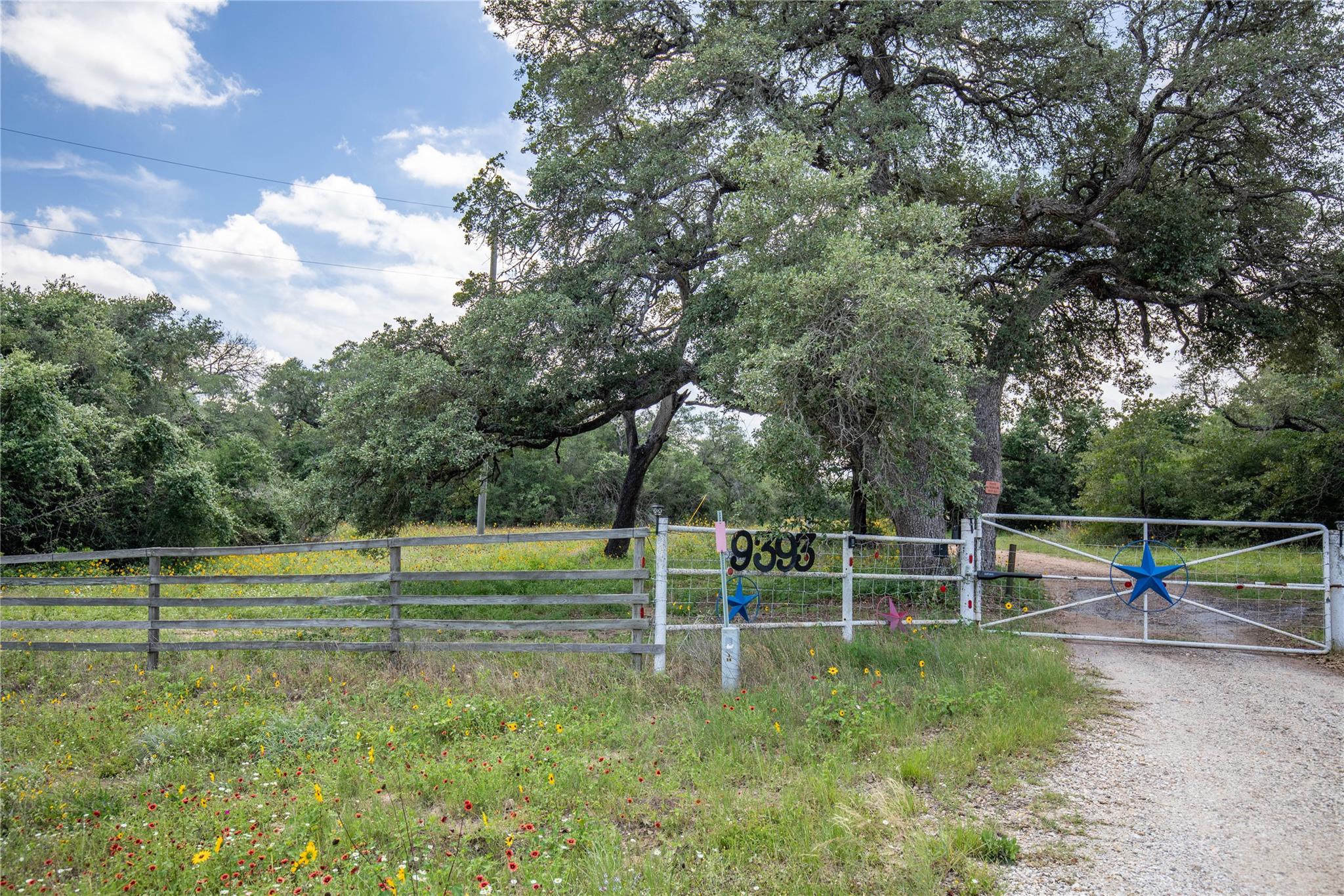 9393 Us Highway 87 — photo 5