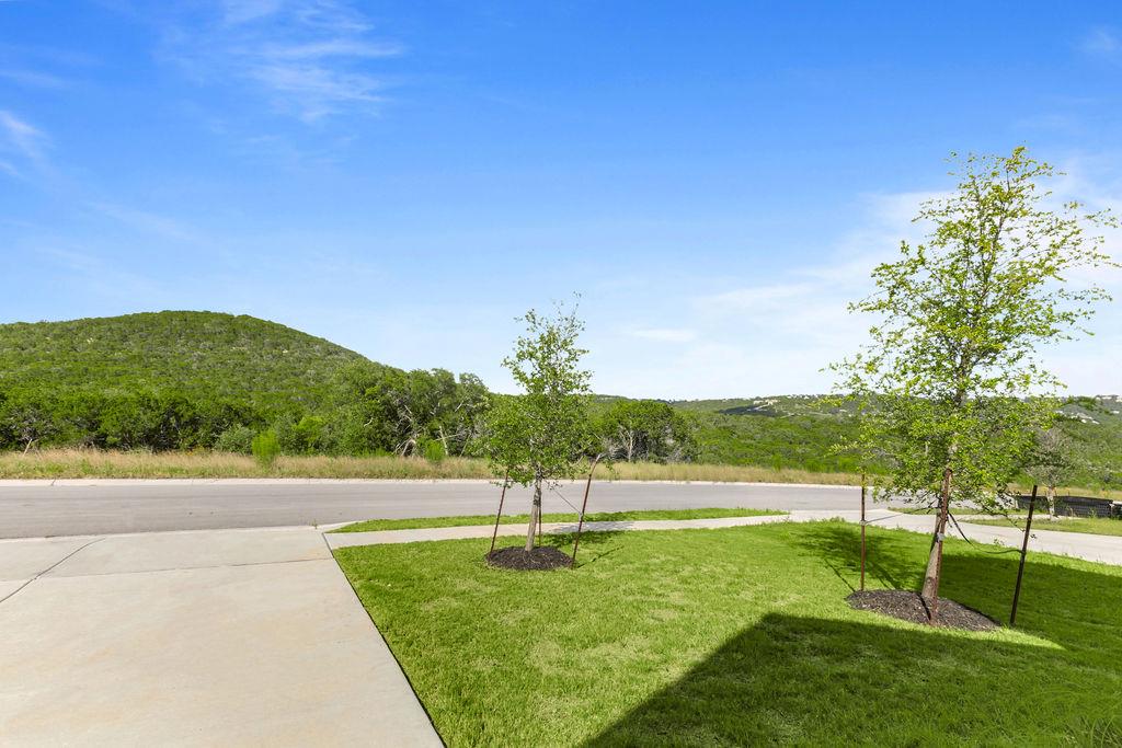 8521 Pine Muhly DR — photo 5