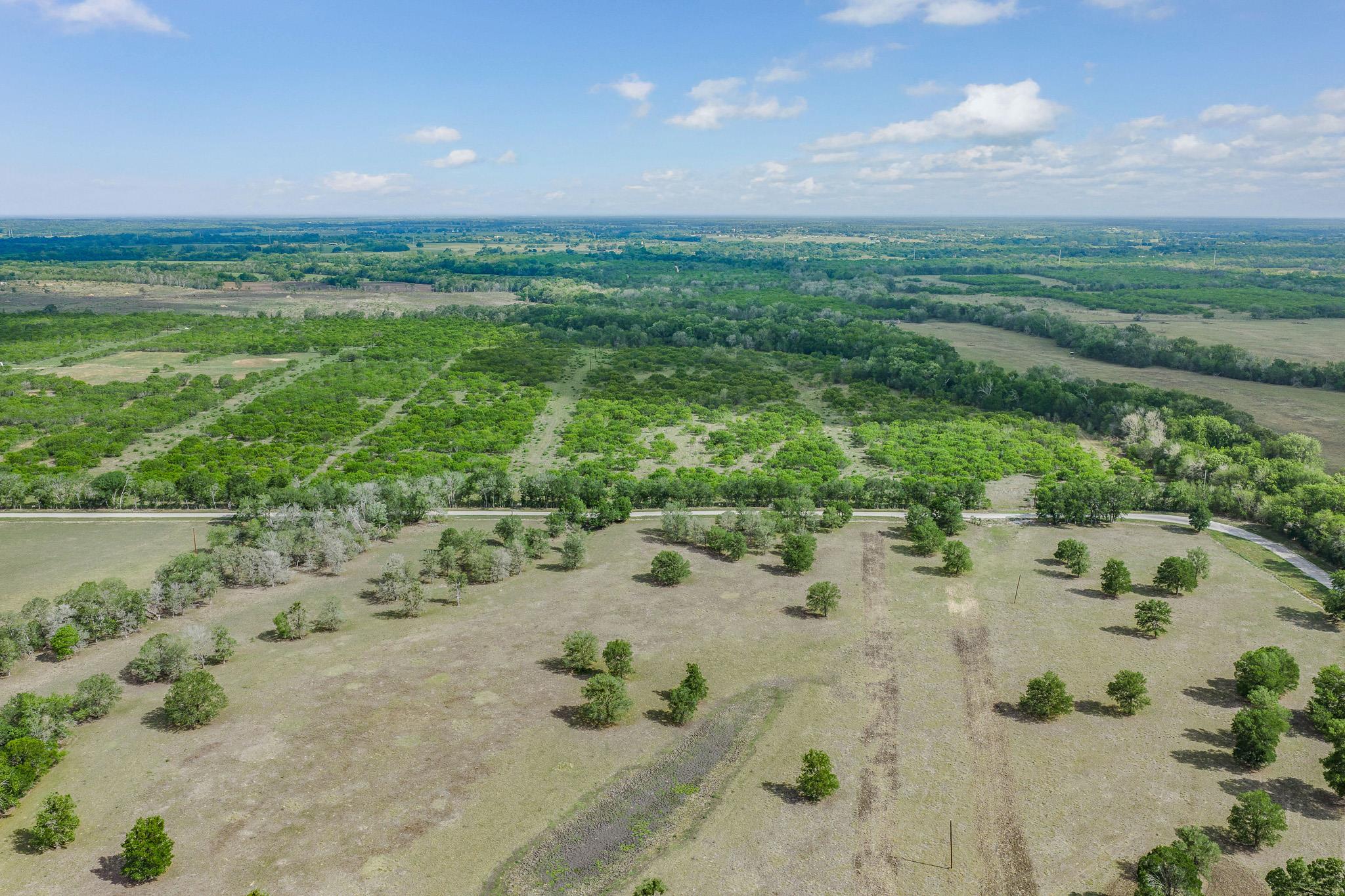 TBD Lot 3 Young LN — photo 5