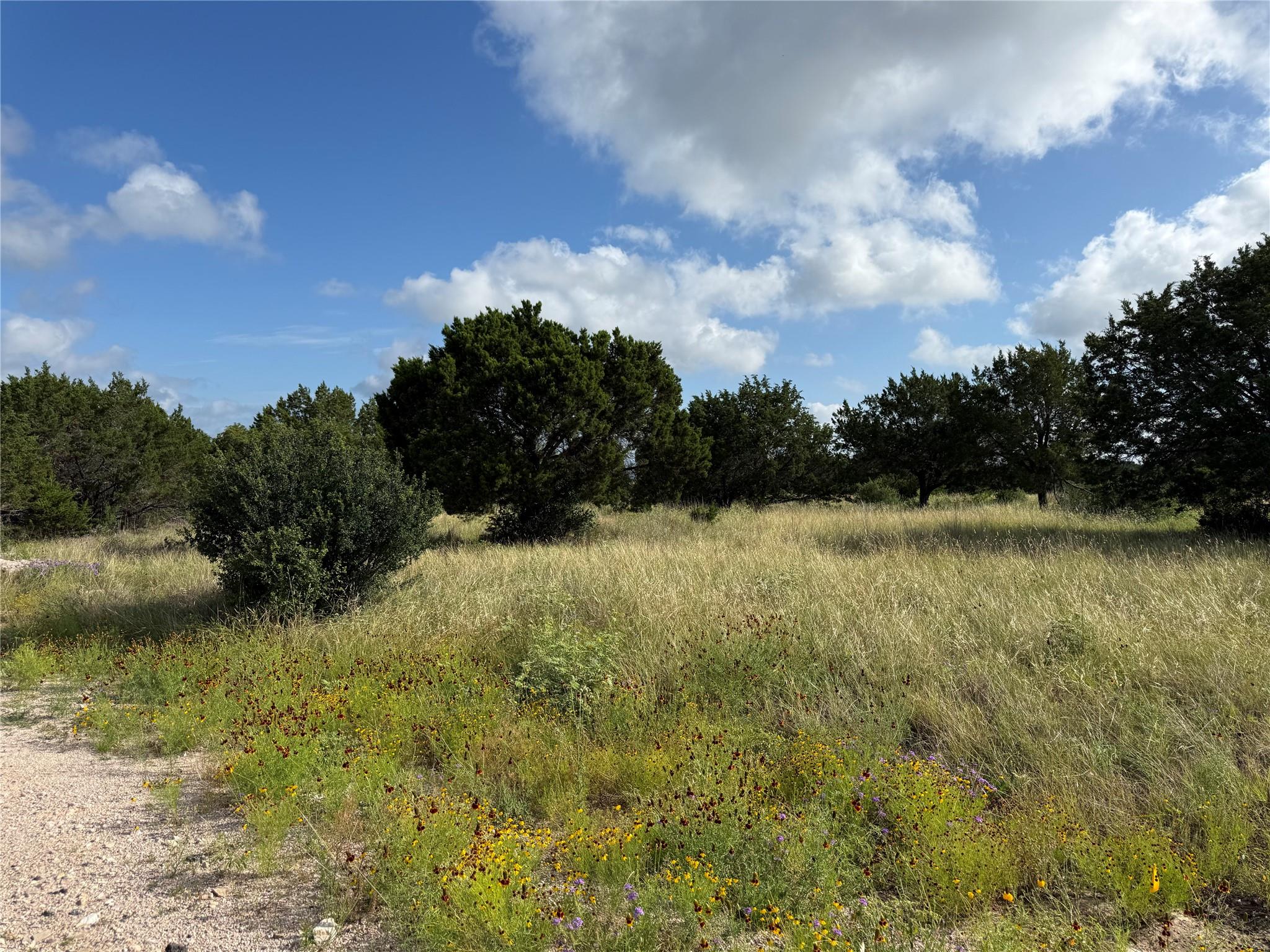 Lot 22109 Tapadero — photo 3