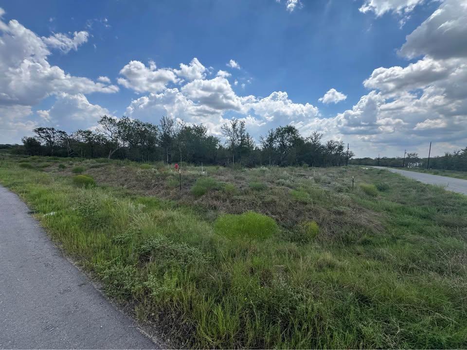 225 Brinley Mae WAY — photo 4