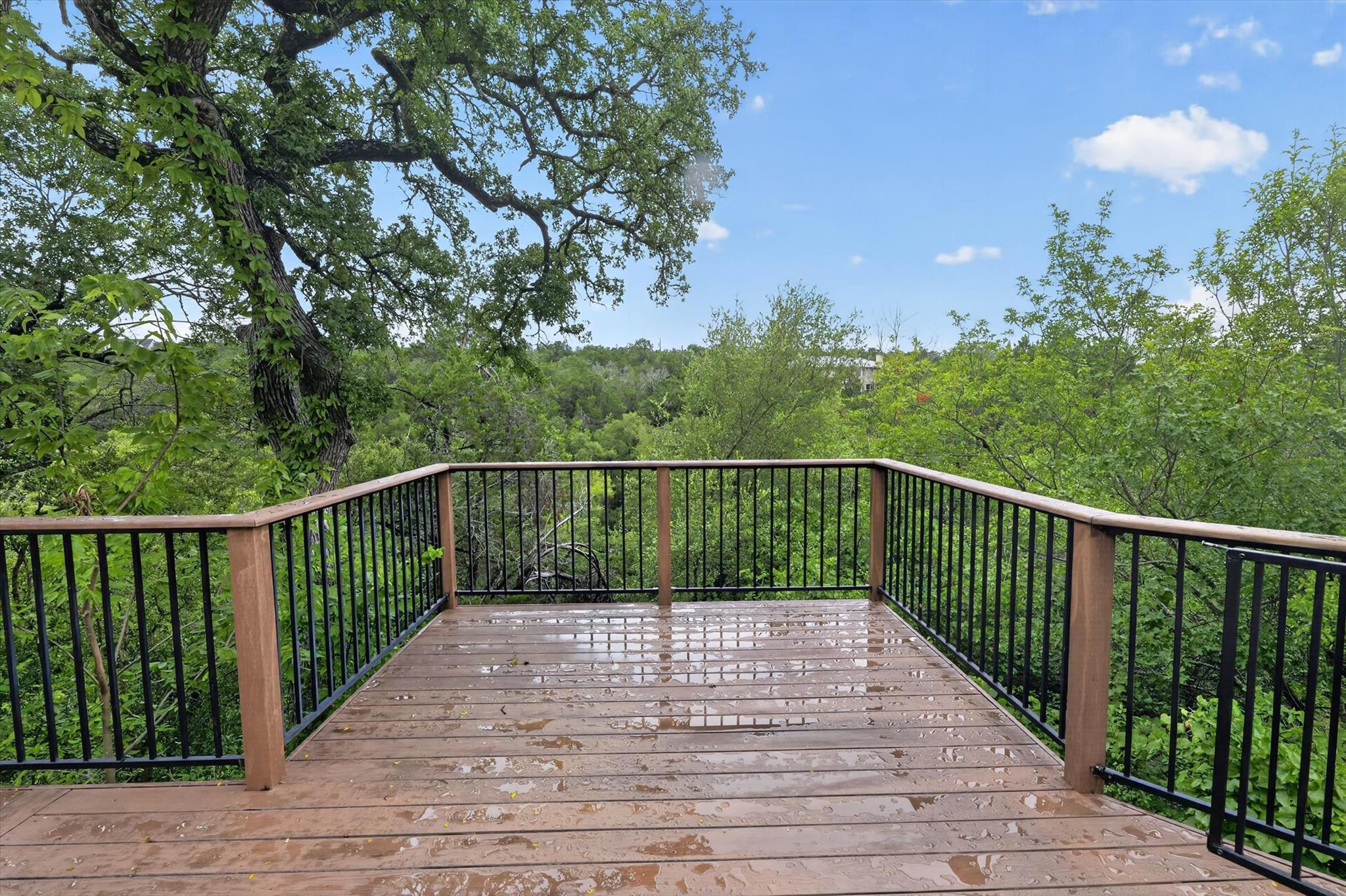 12421 Painted Bunting DR — photo 4