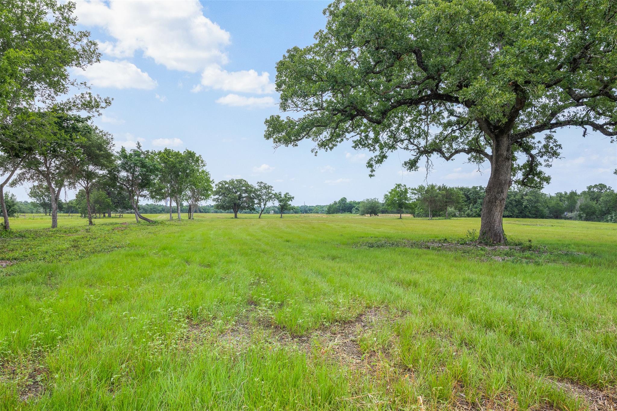 3320 County Road 430 — photo 5