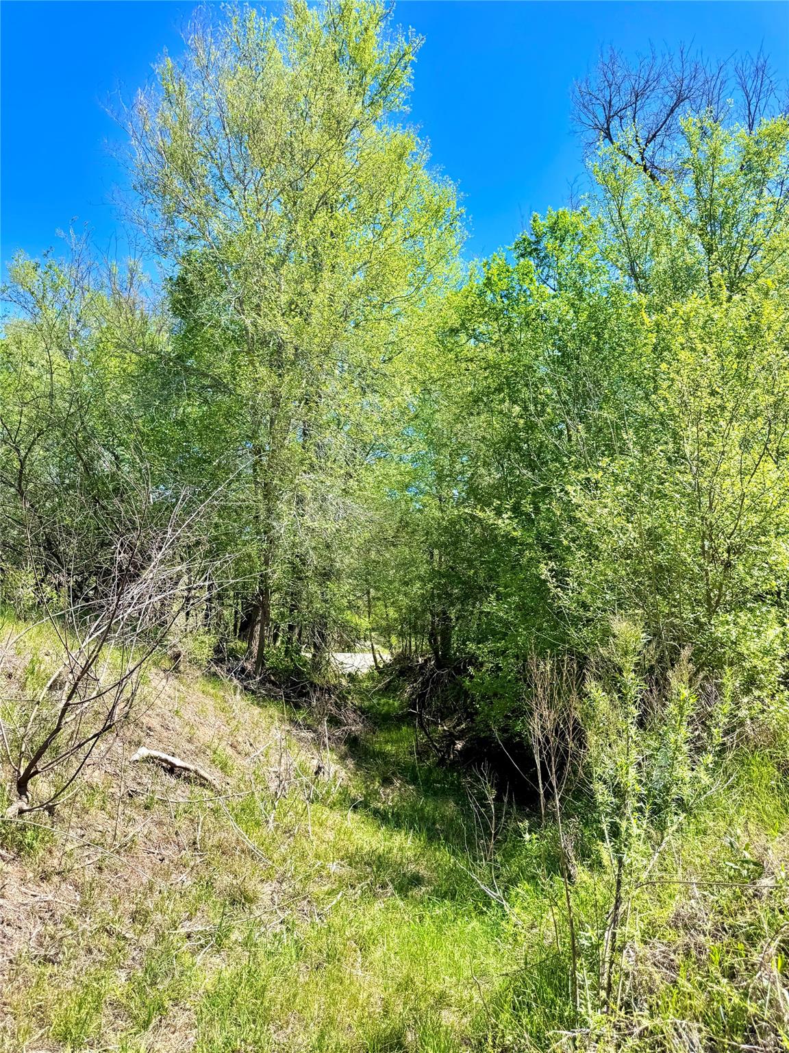 3775 Baker RD — photo 3
