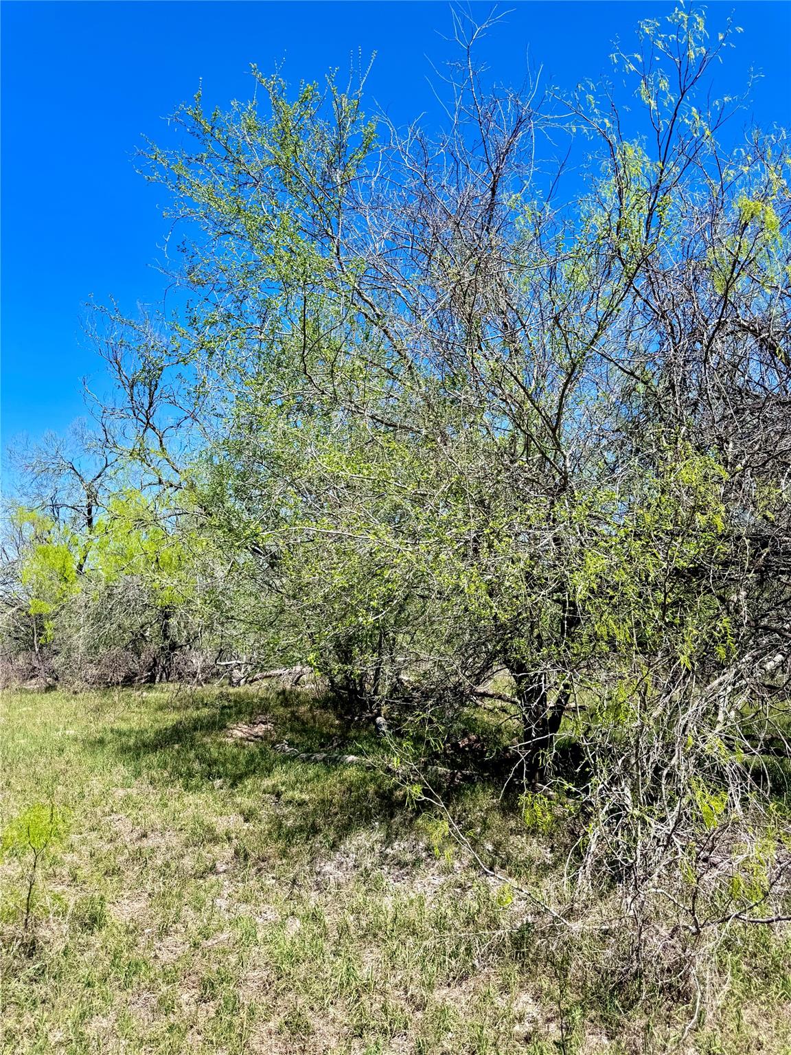 3775 Baker RD — photo 5