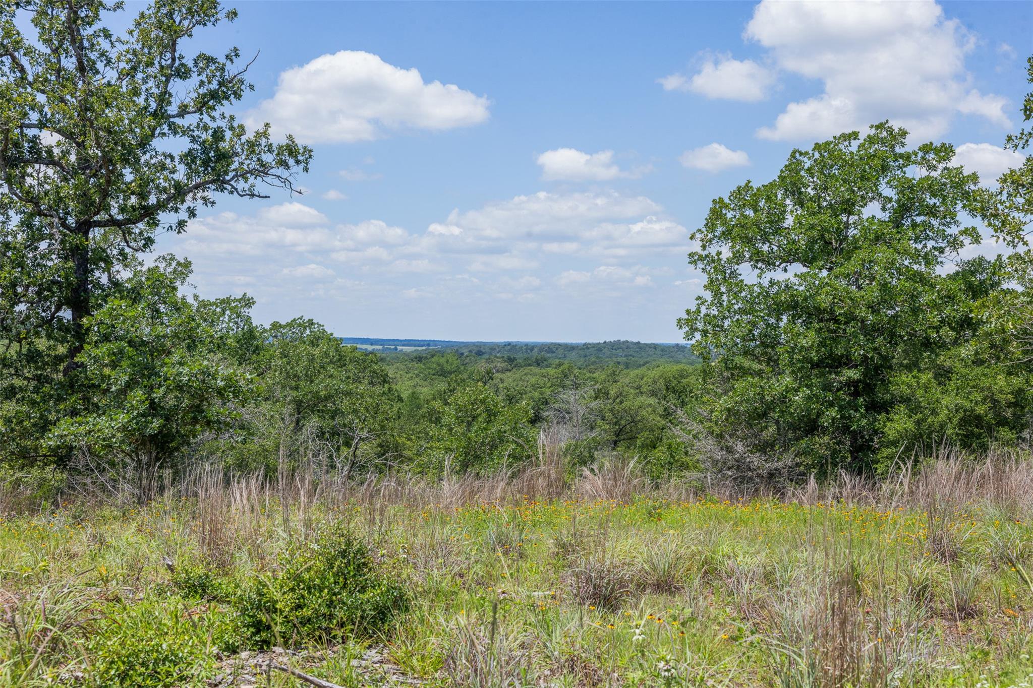 1004 22 Hills RD — photo 3