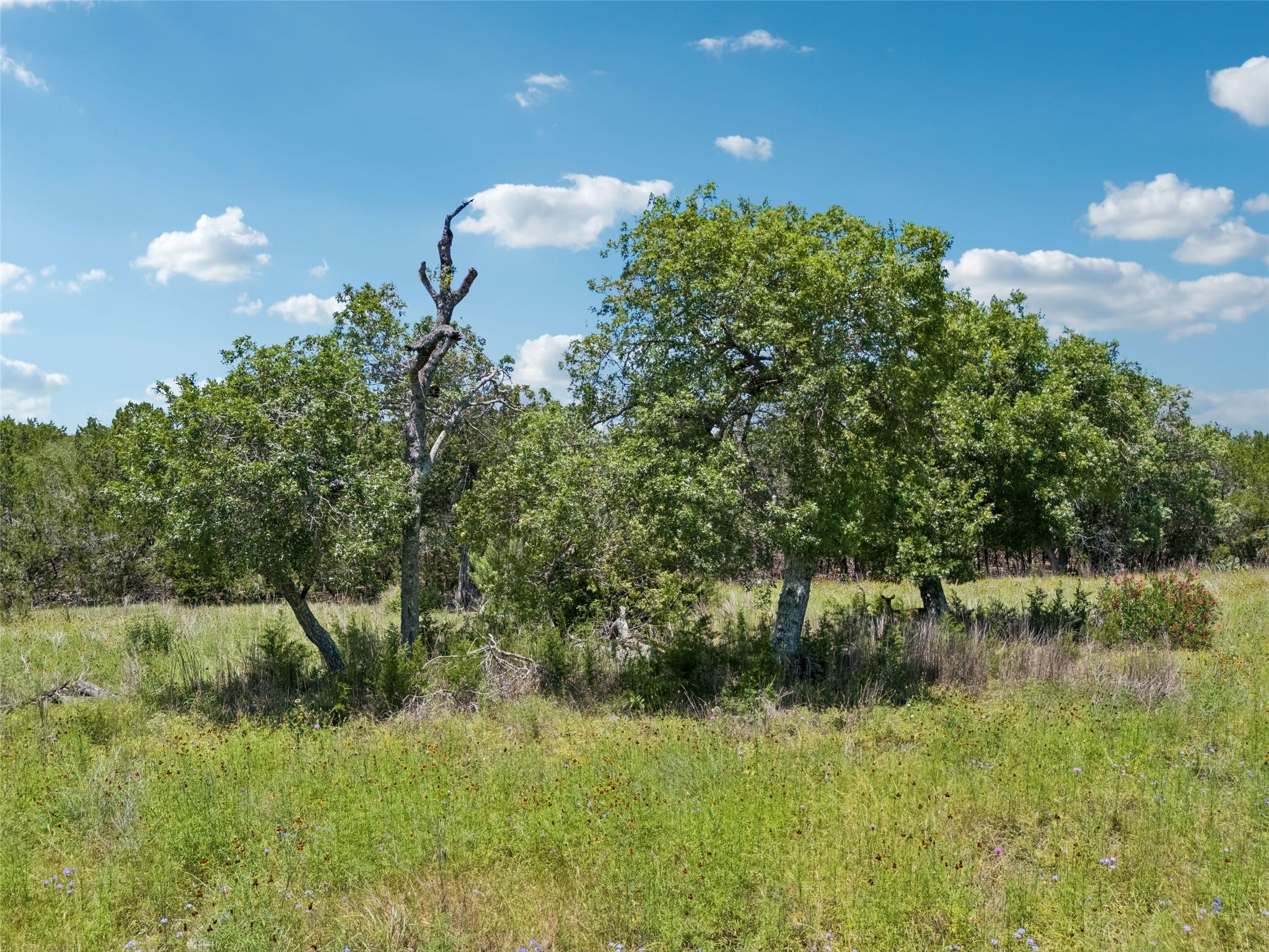 TBD Rainbow Ranch RD — photo 5