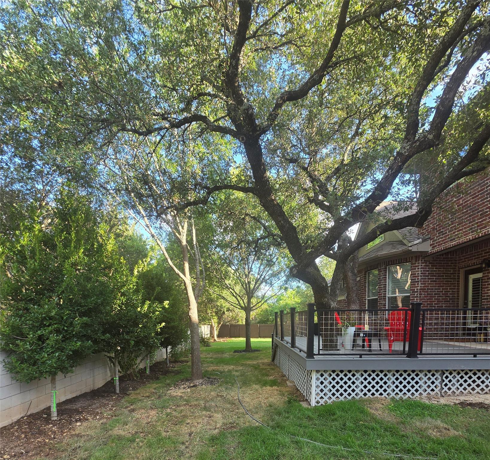 321 Calistoga CT — photo 4
