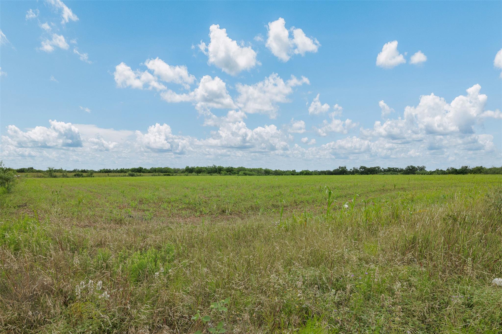 21814 Hogeye RD — photo 5