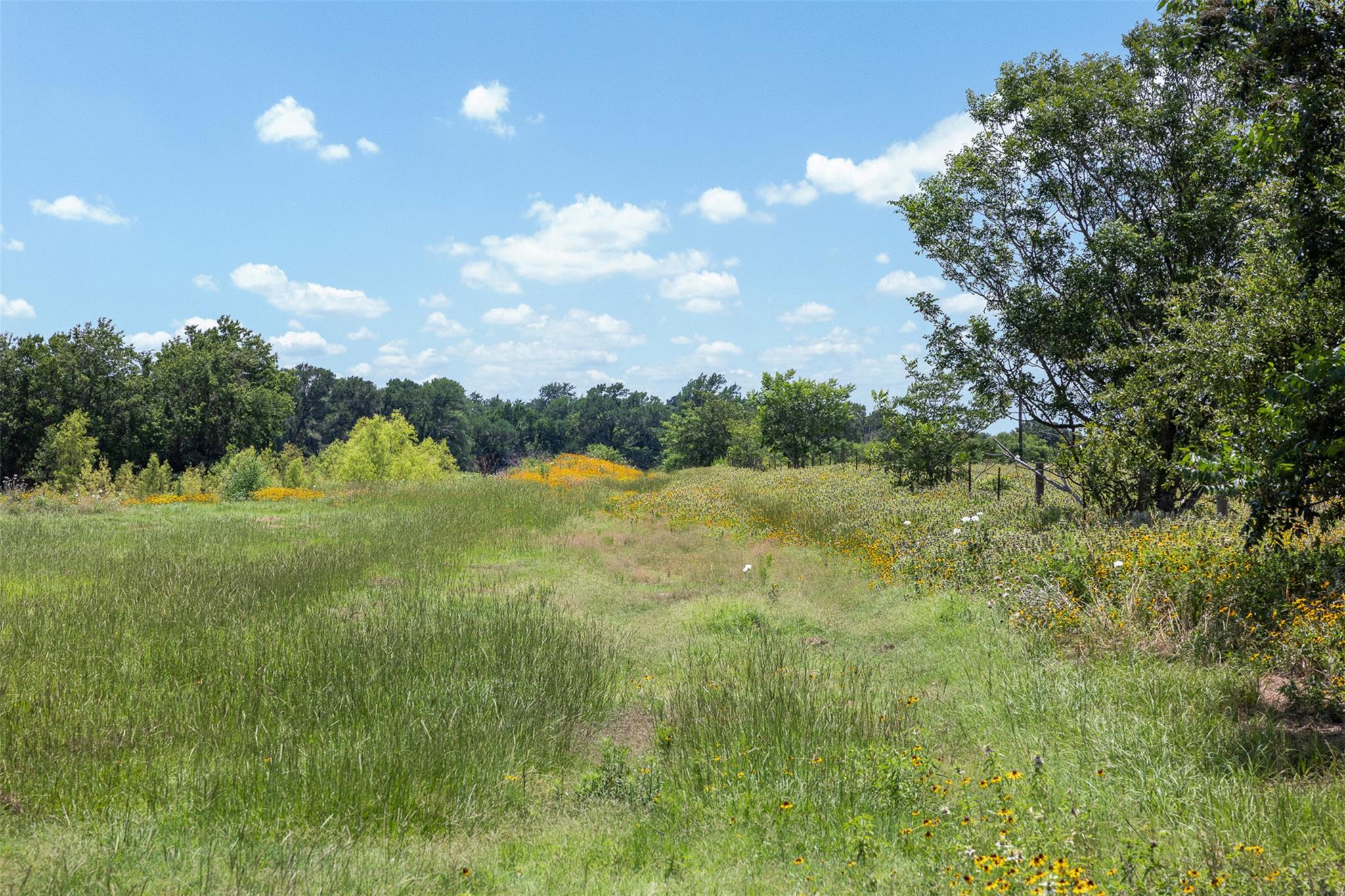 TBD County Road 268 — photo 3