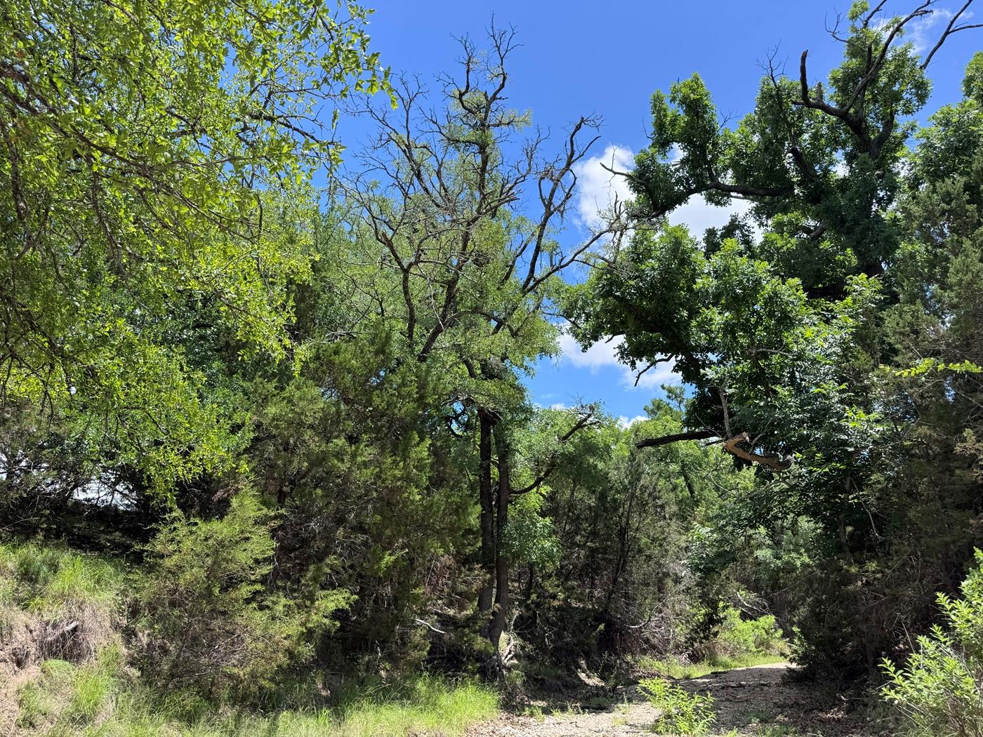 312 Oak Stump DR — photo 3