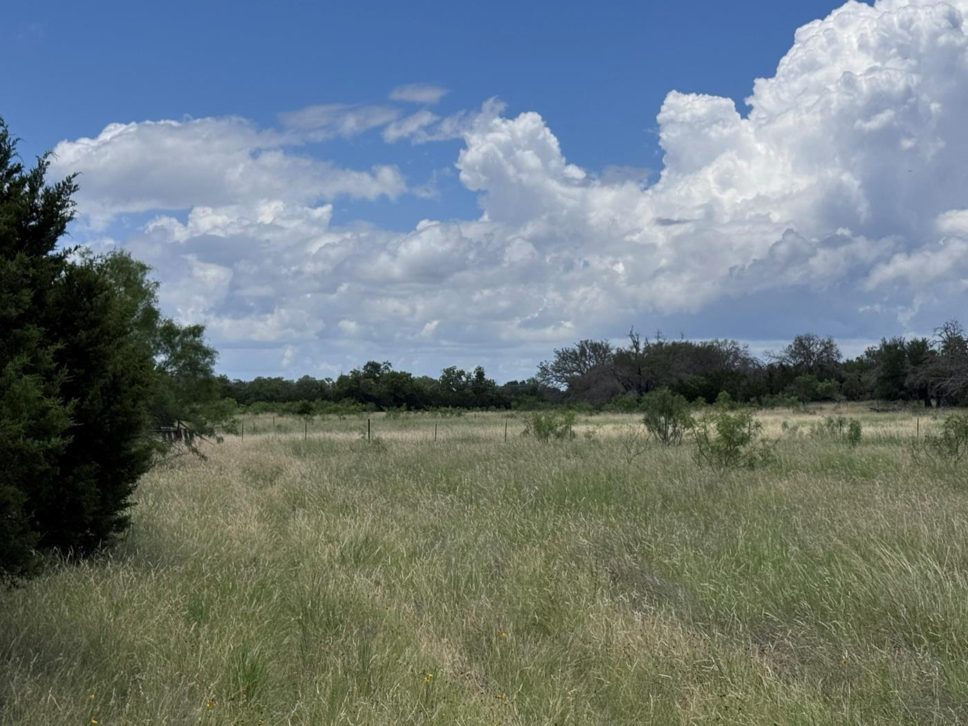 312 Oak Stump DR — photo 5