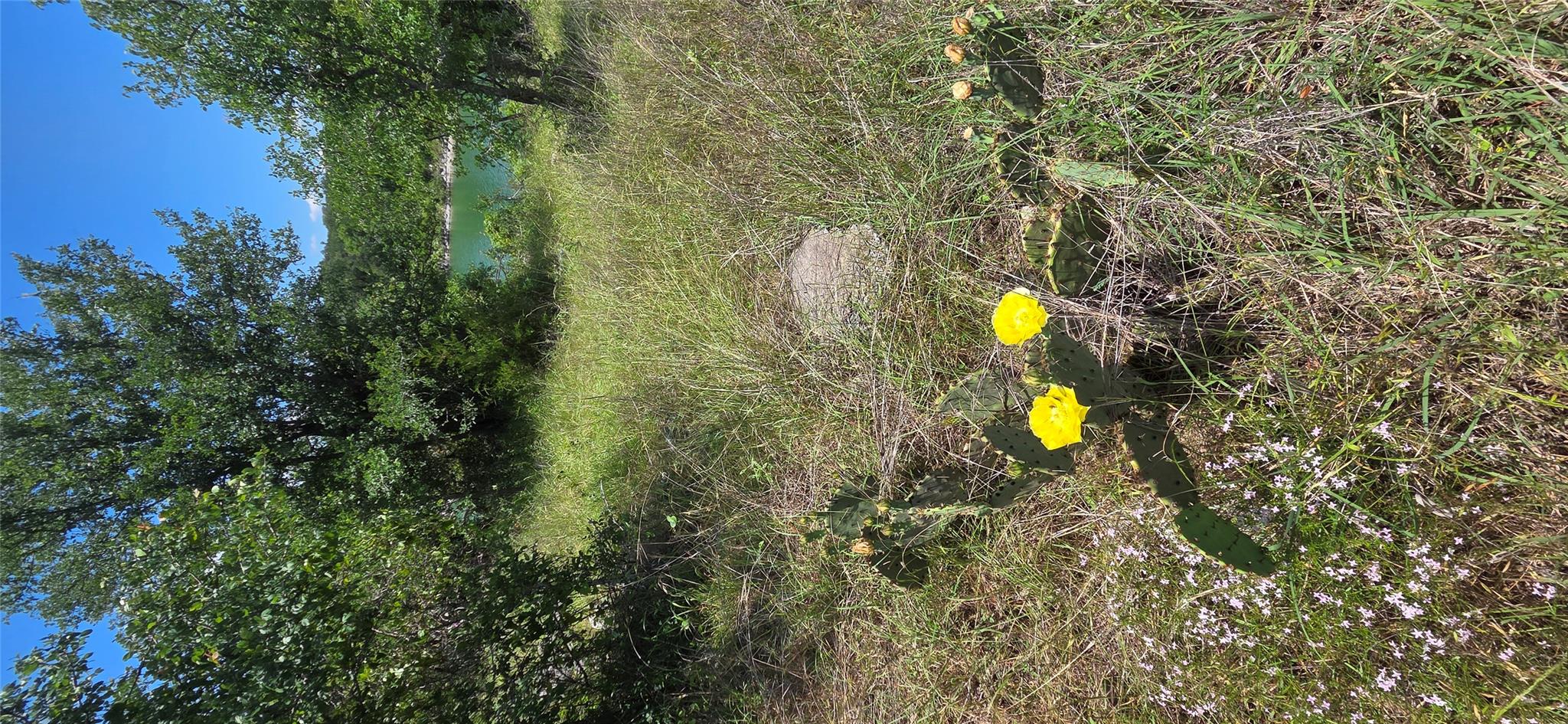 3, 4, 5 Mojave LN — photo 3