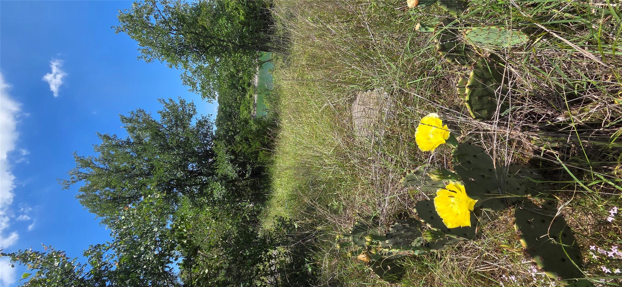 3, 4, 5 Mojave LN — photo 5