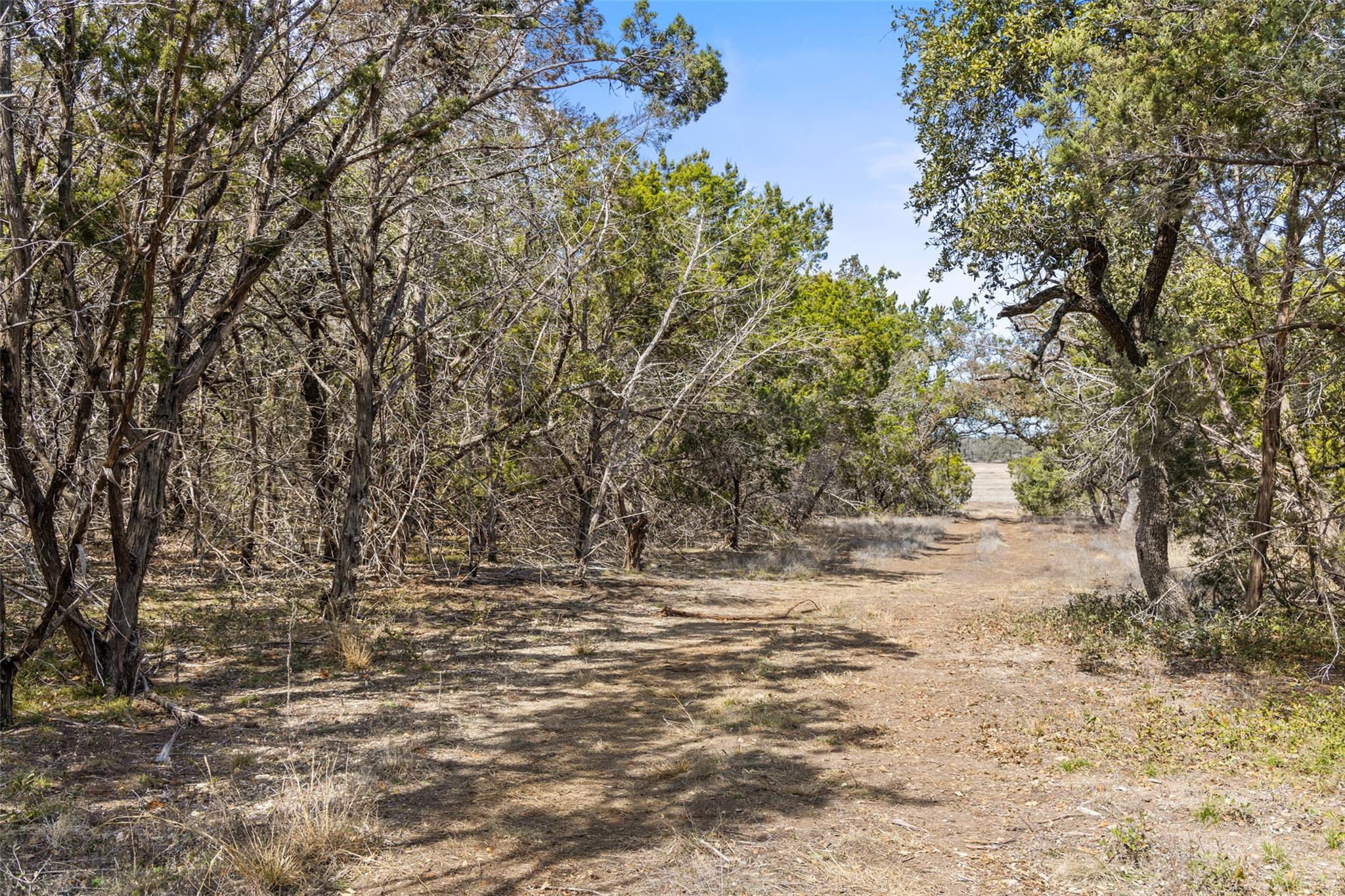 535 Becker Road — photo 3