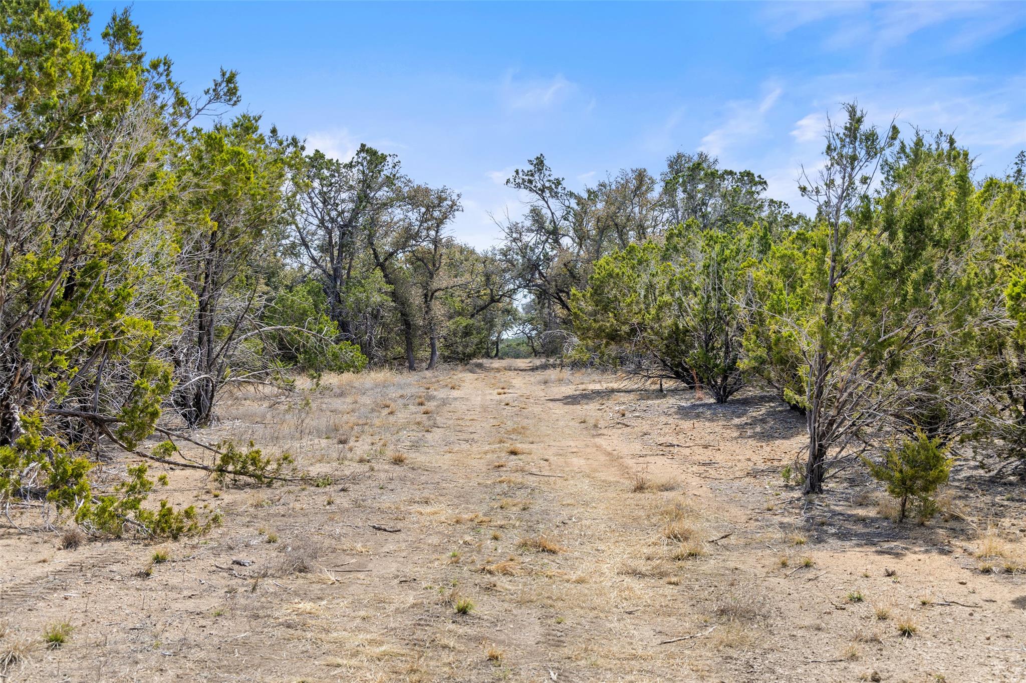 535 Becker Road — photo 4