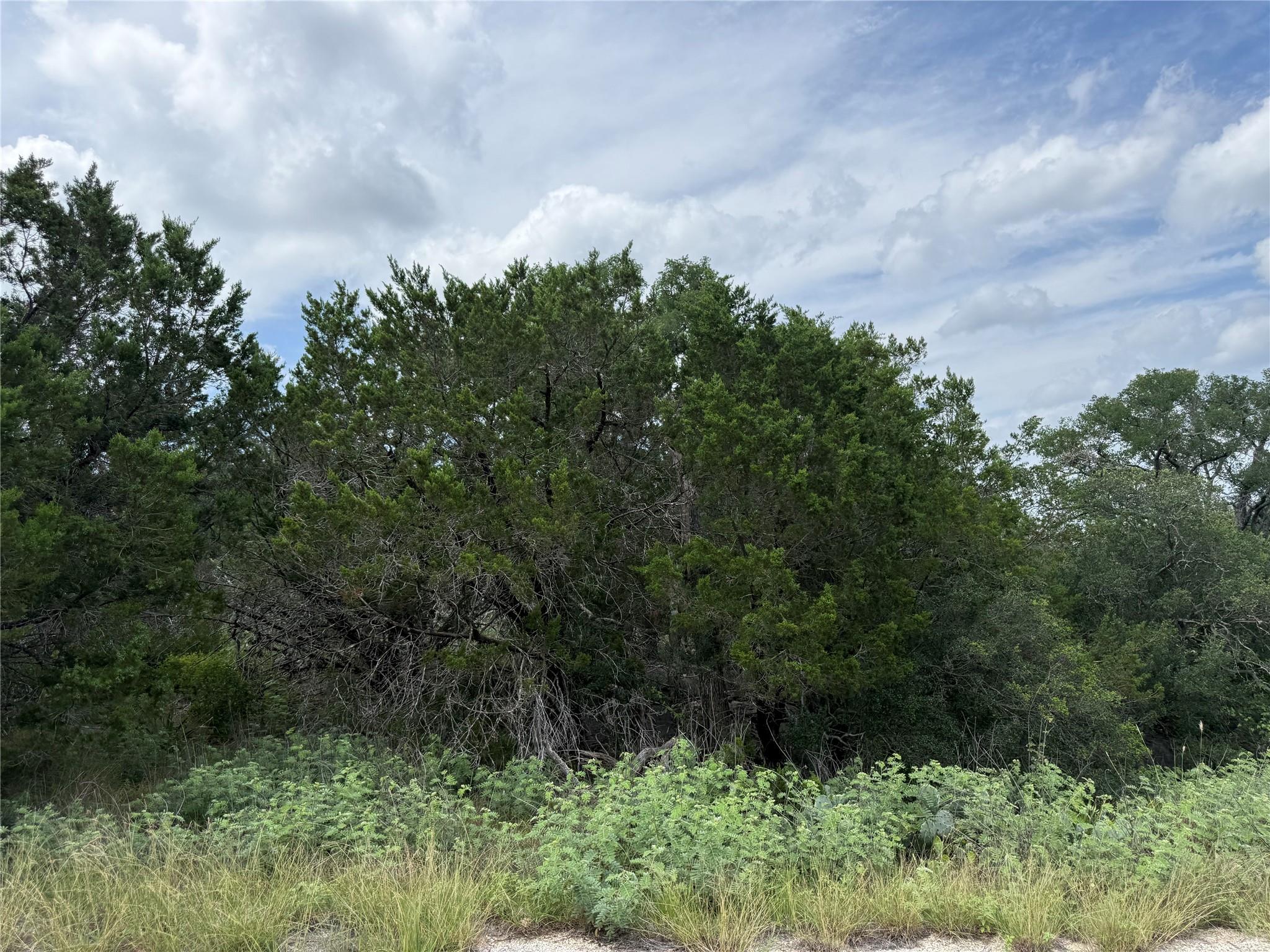 Lot K8130 Ridgeview — photo 4