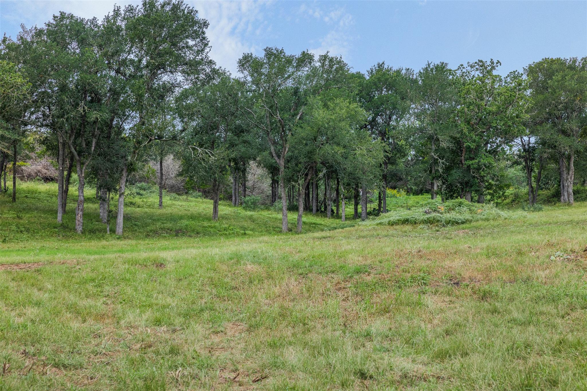 401 Fm 672 — photo 5