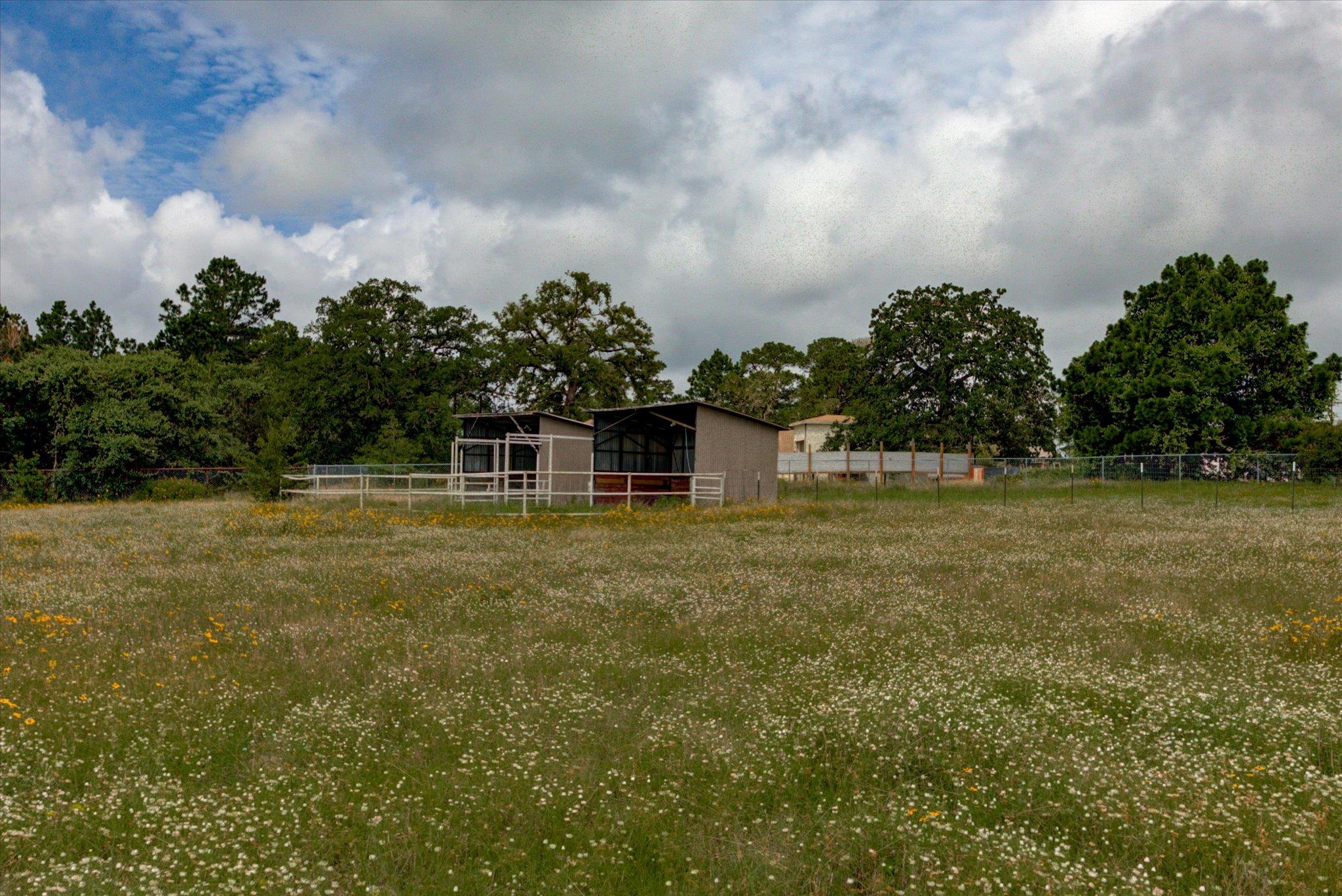 118 Saddle CT — photo 5