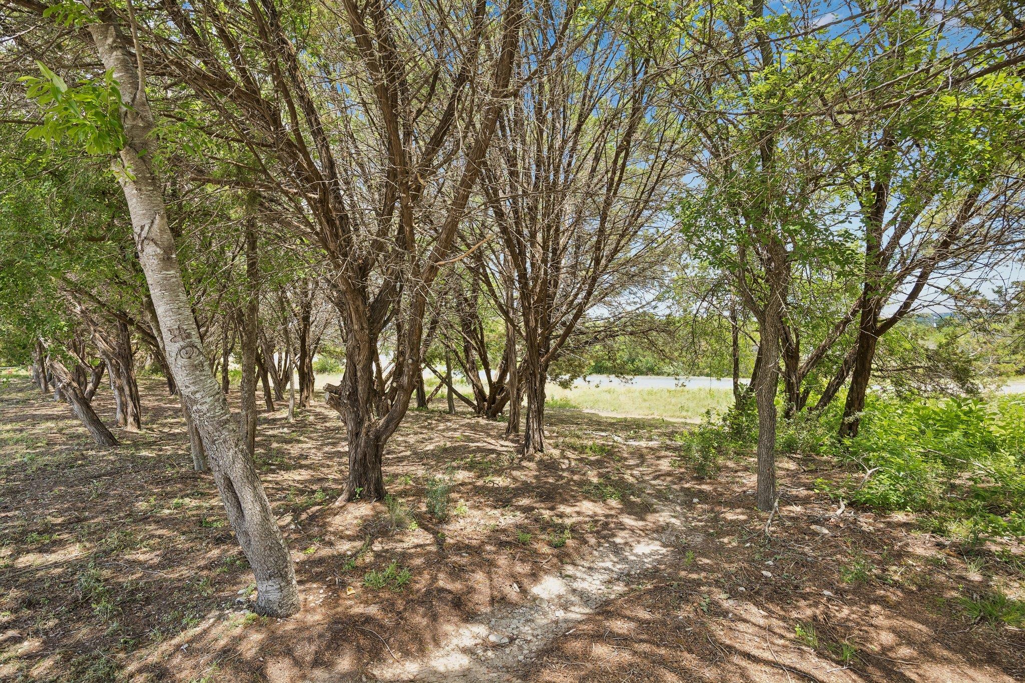 20701, 20703, 20705 Dawn DR — photo 4